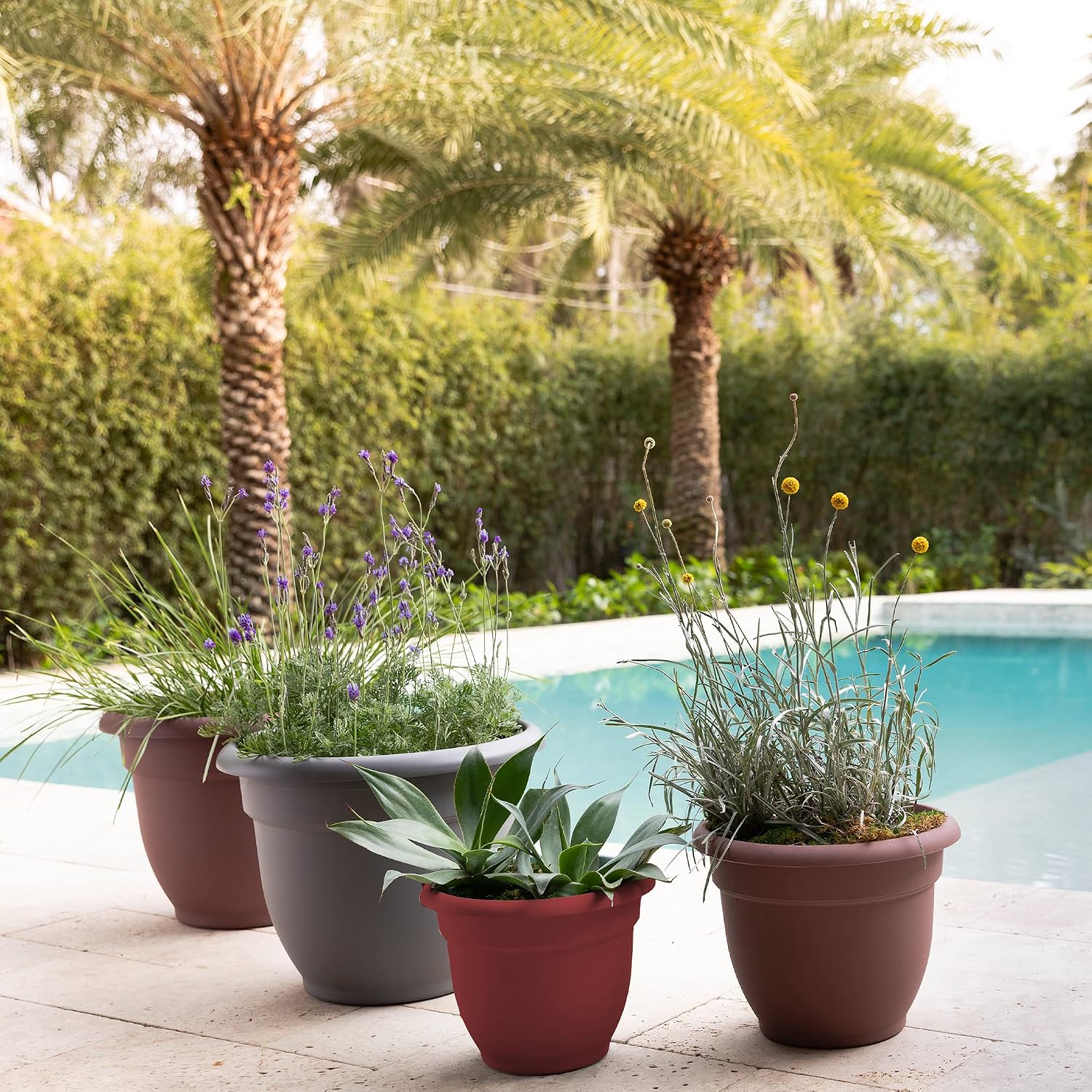 Bloem Ariana Pot Planter: 16" - Black - Durable Resin Pot, for Indoor and Outdoor Use, Gardening, Self Watering Disk Included, 6 Gallon Capacity