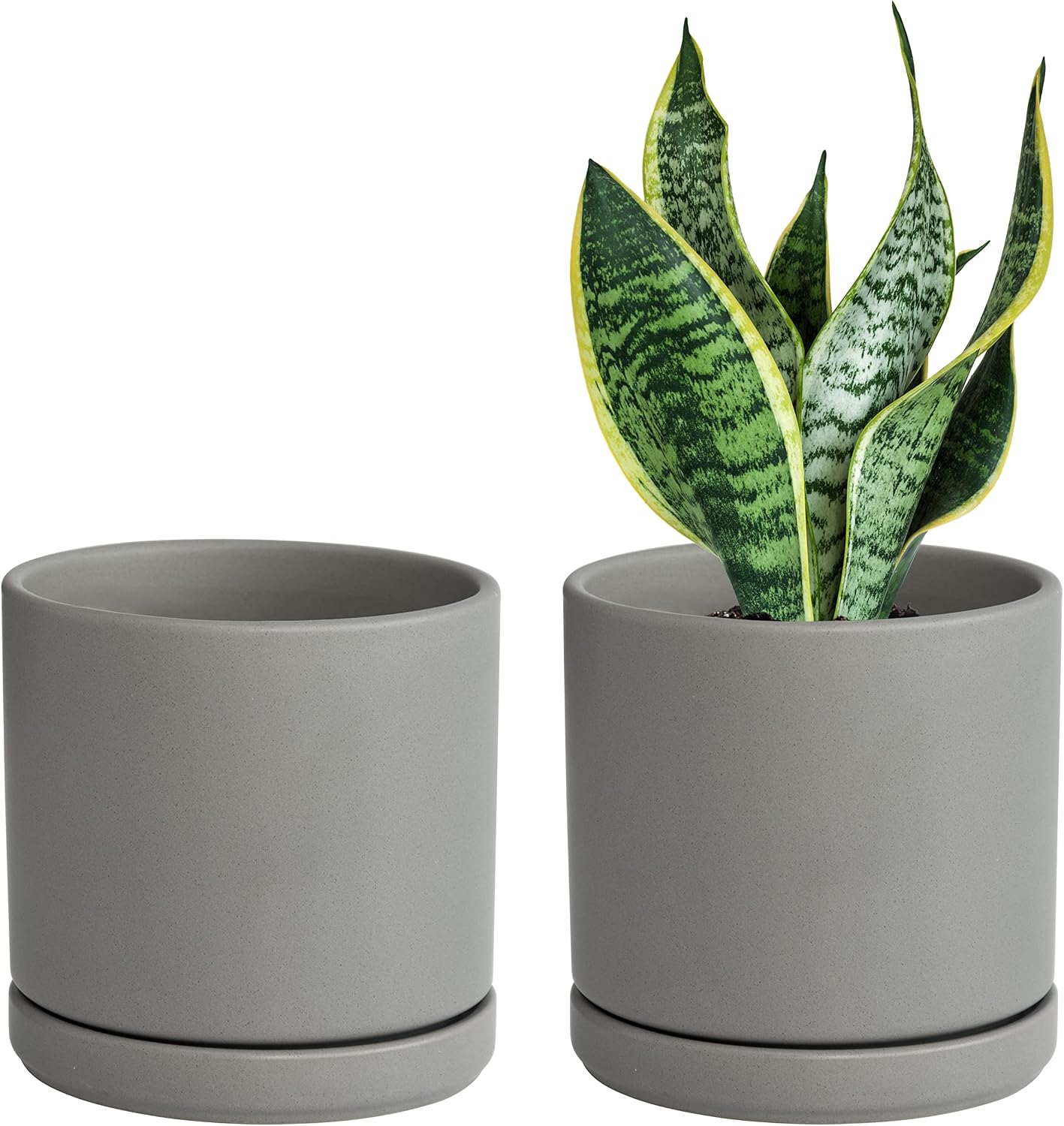 D'vine Dev 2-Pack Ceramic Pots with Saucers, White/Grey, 4.7 in, 94-V-B-6
