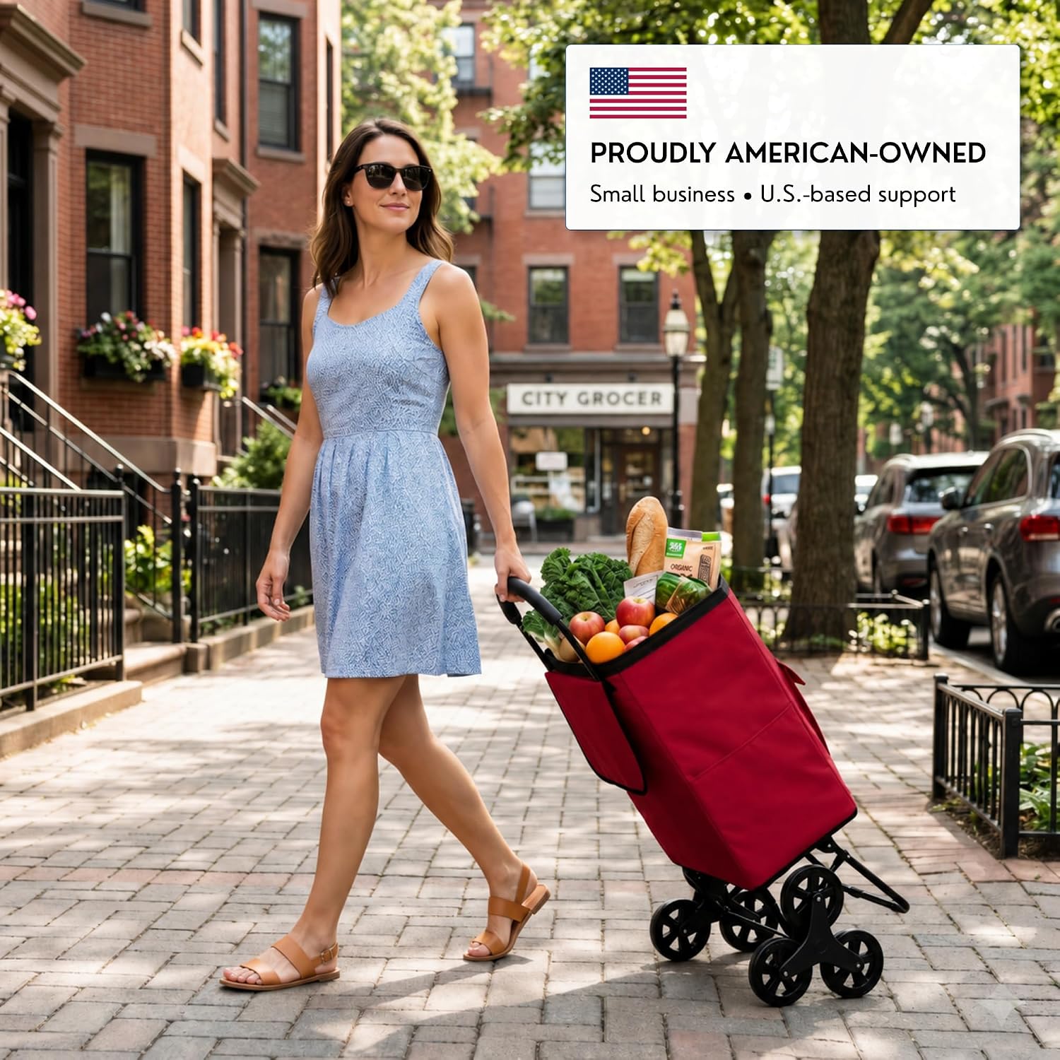 Shopping Cart, Super Loading Grocery Trolley, 220 lbs Capacity