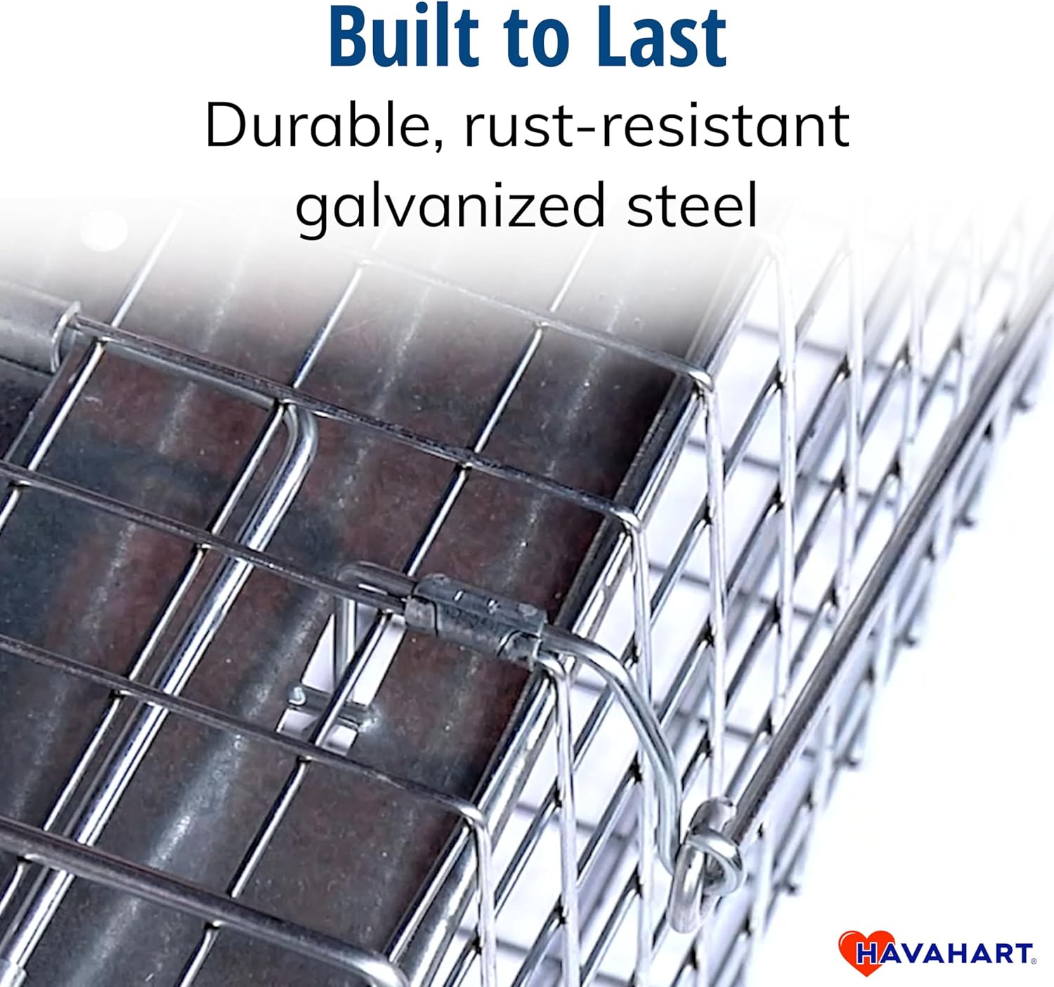 Havahart Medium 1-Door Live Animal Trap, Galvanized Steel Cage | Humane Catch and Release for Rabbit, Skunk, Mink, and Squirrel, Spring-Loaded Door