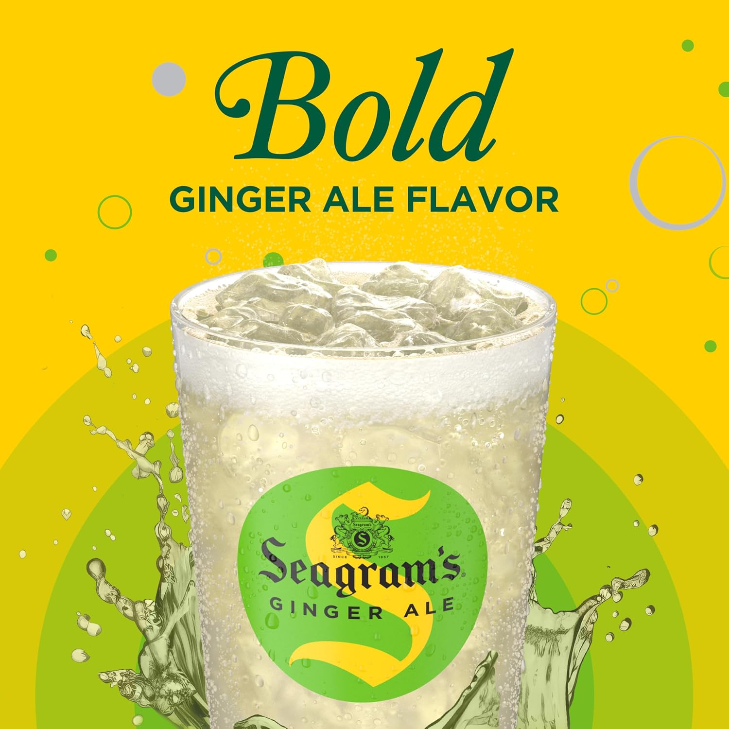 Seagram's Ginger Ale, 12 fl oz, 12 Pack
