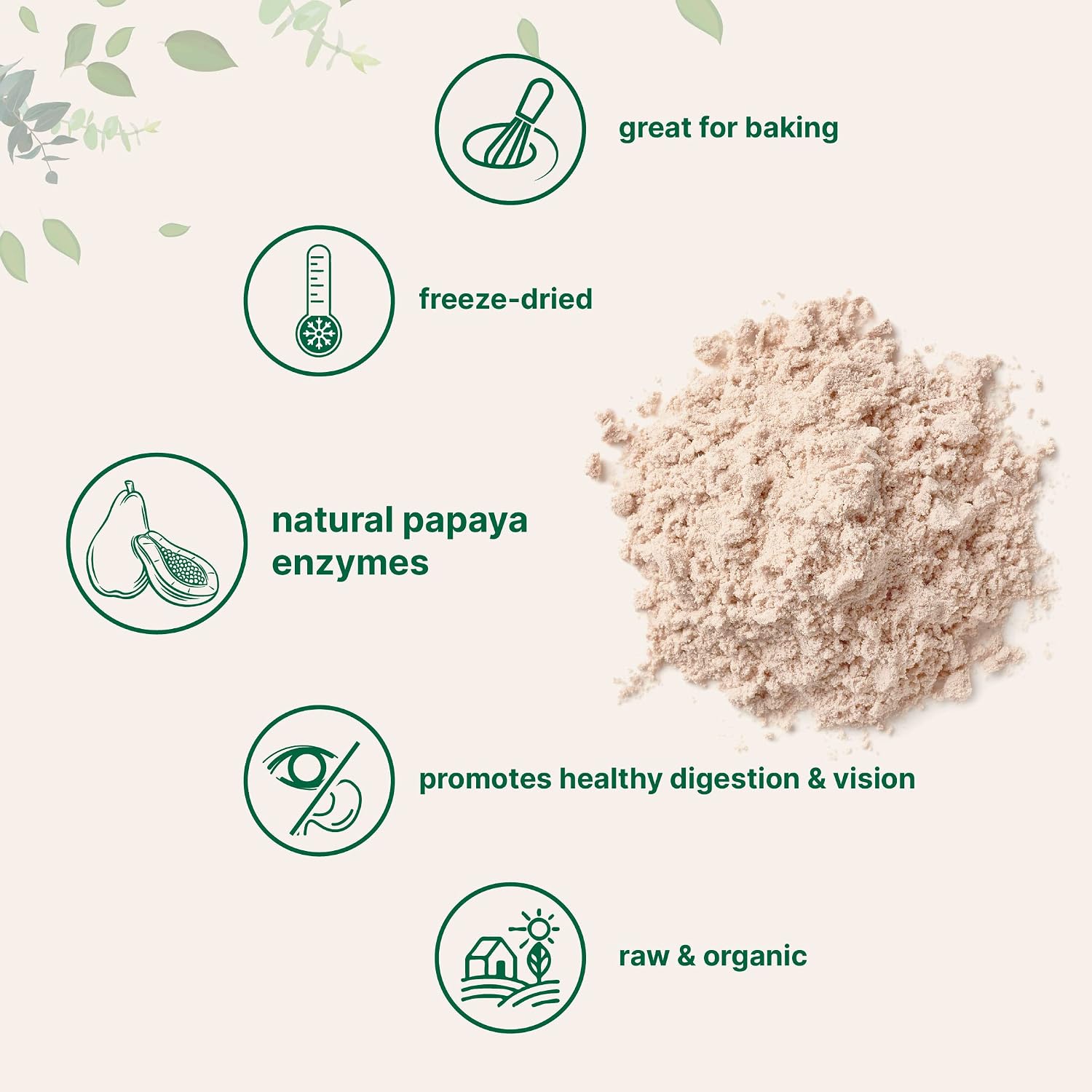 Micro Ingredients Organic Papaya Powder, 8 oz | No Fillers or Additives | Raw Superfood, Natural Papaya Enzymes | Great for Smoothies, Desserts, Juice