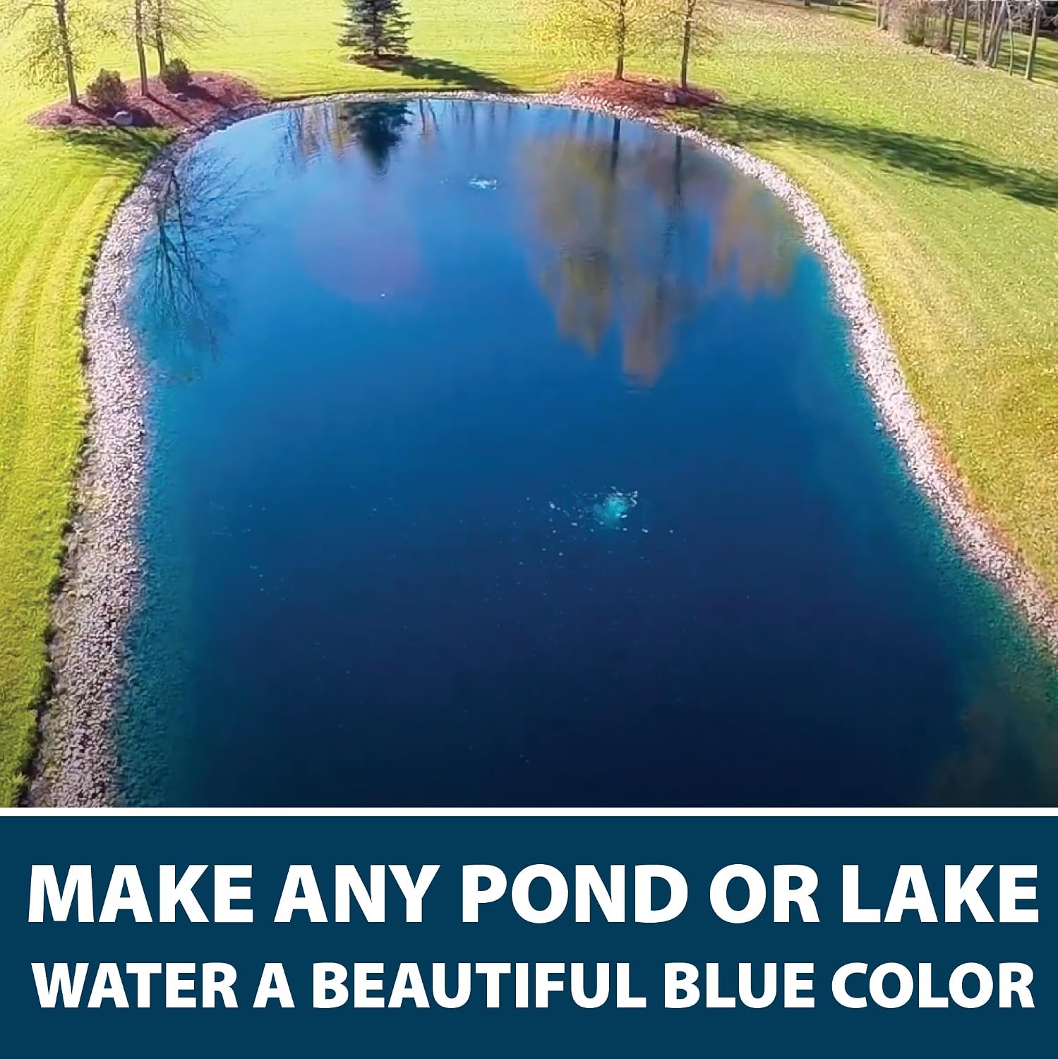 Airmax Pond Dye Plus, Nature's Blue Pond & Lake Water Colorant, 1 Gallon | Natural beneficial bacteria clarifier shades plants and algae from sunlight; fish and livestock safe