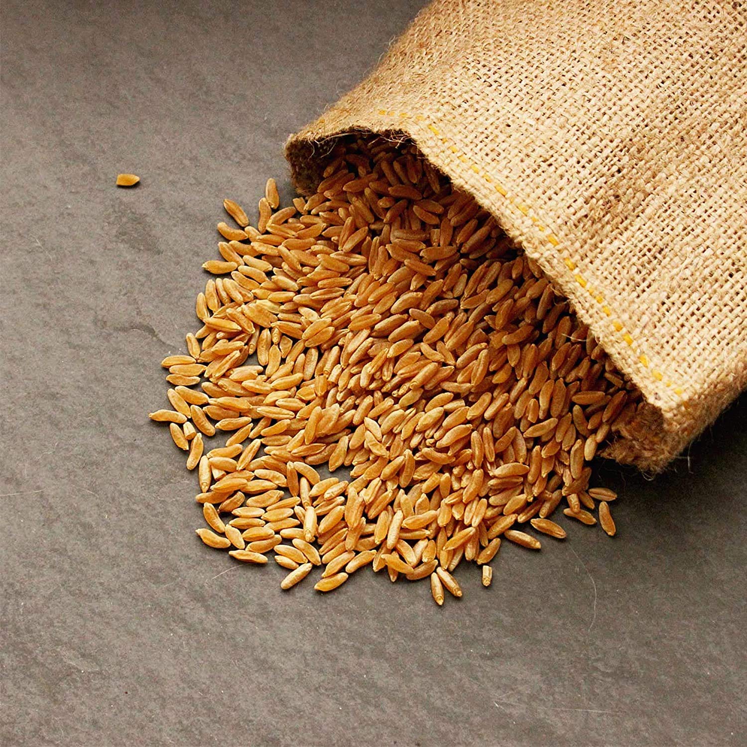 Handy Pantry Organic Kamut Seeds – 35 lb – Bulk Ancient Grain | Emergency Food Storage, Baking, Sprouting, Milling