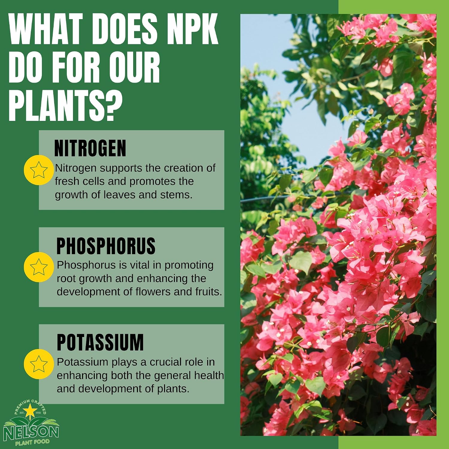 Nelson Plant Food For All Flowering Vines Bougainvillea Trumpet Wisteria Honeysuckles Indoor Outdoor Granular Fertilizer NutriStar 17-7-10 (2 lb)