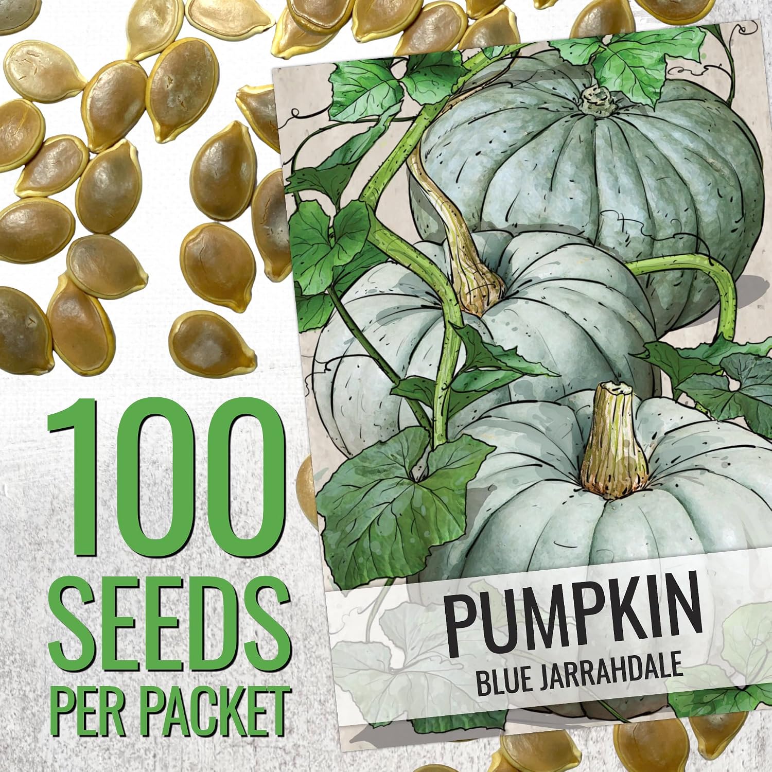 Seed Needs Pumpkin Seeds to Plant 100 Seeds Spooky Mix Non GMO Bulk Pack