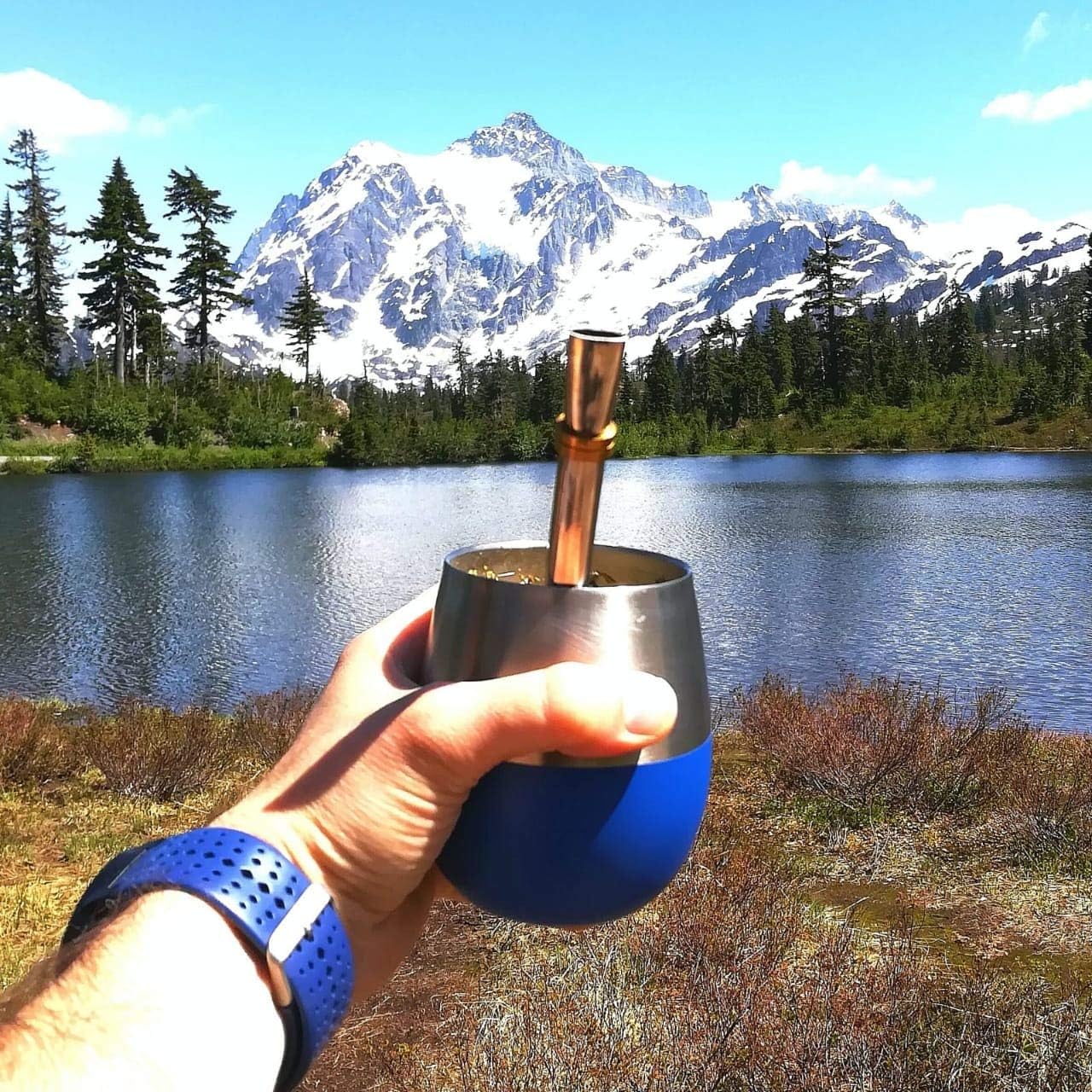 [NEW] Mate Cup and Bombilla Set - Mate Gourd - Includes Double Wall Stainless Steel Yerba Mate Tea Cup with Stanley Steel Mate Straw and Yerba