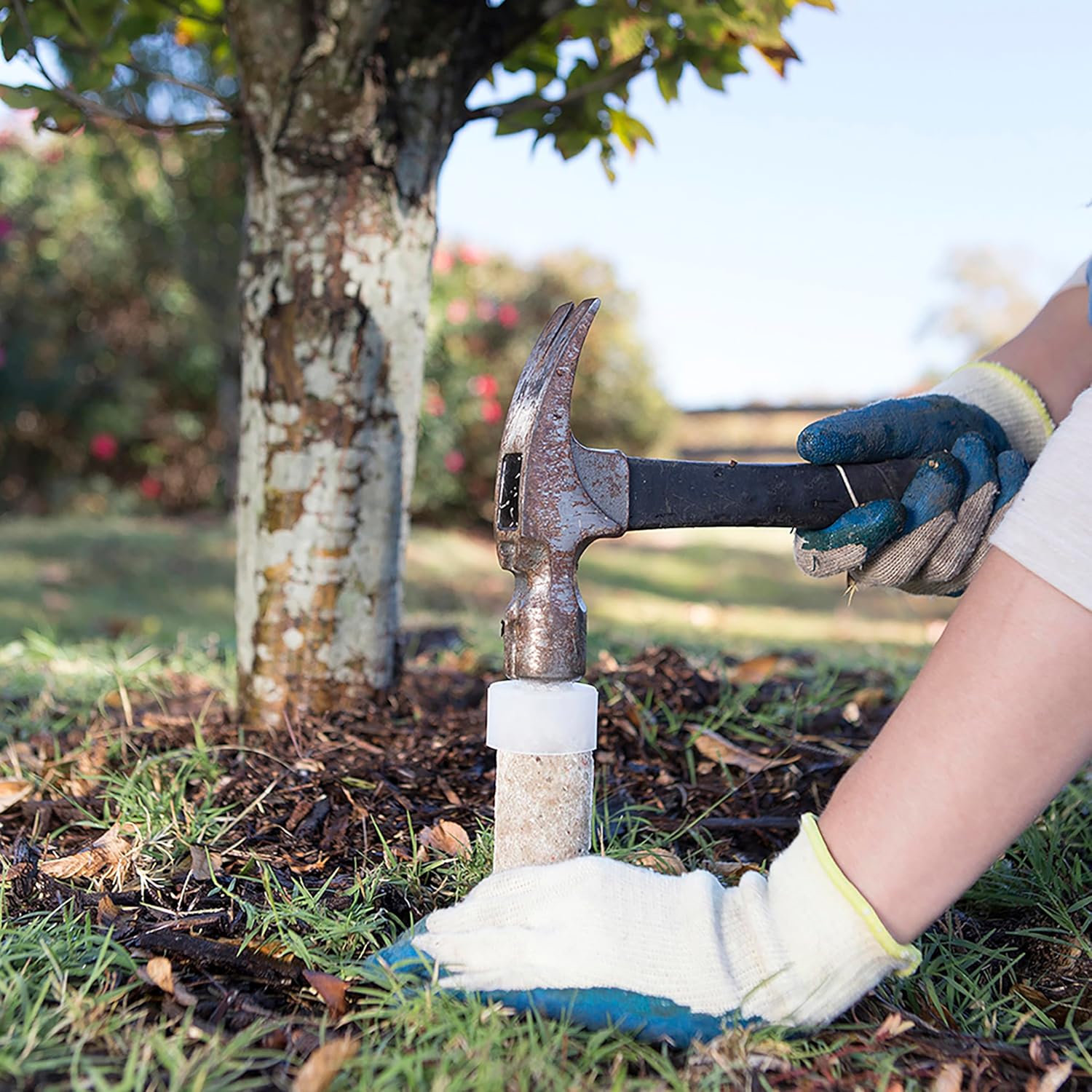 Jobe’s Slow Release Tree and Shrub Fertilizer Spikes, Easy Plant Care for Oak, Maple, Dogwood, Boxwood, and Many More Acid Loving Trees and Shrubs, 9 Count