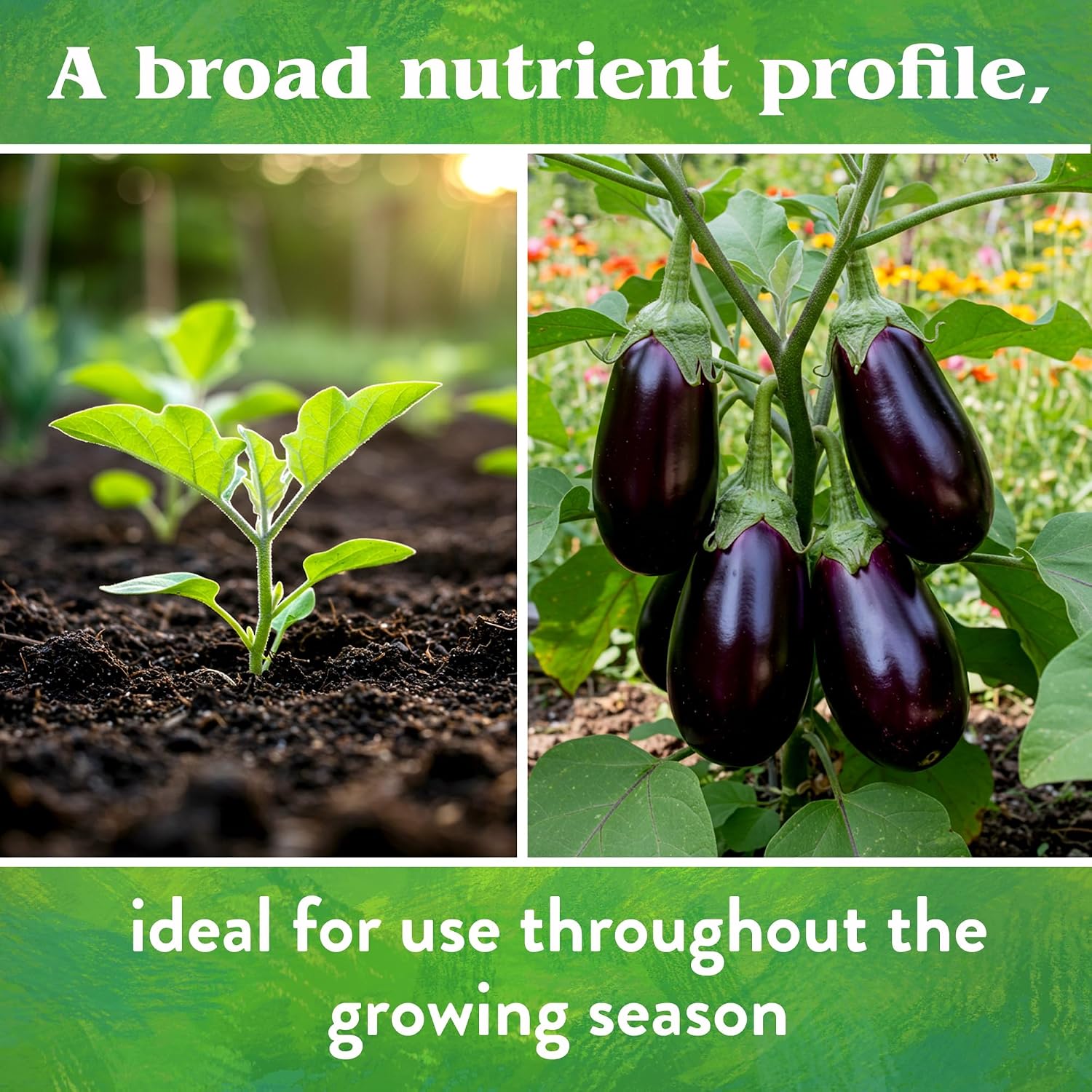 Down To Earth All Natural Fertilizers Organic Vegetable Garden - 25 lb