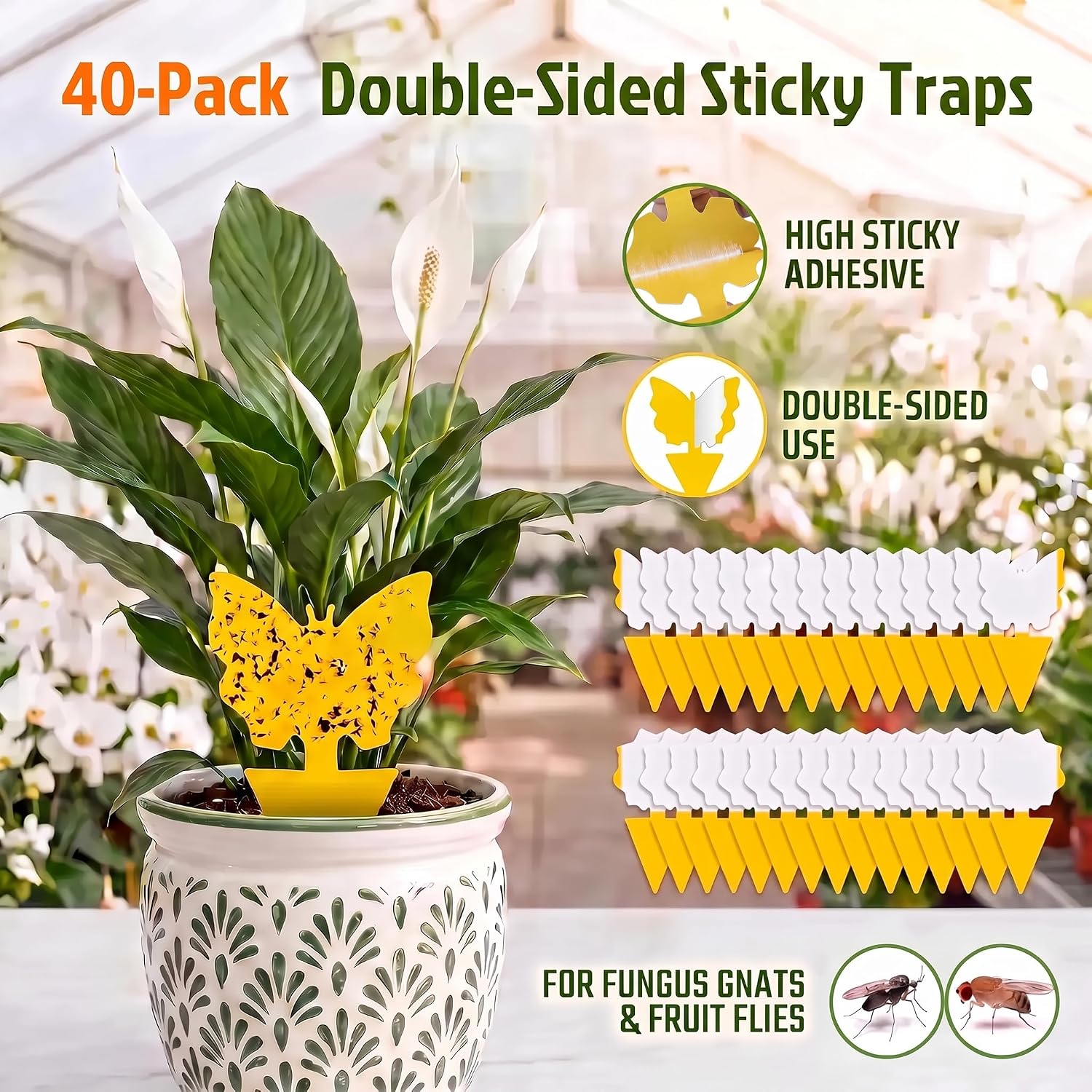 40 Pack Fungus Gnat Traps, Yellow Sticky Fruit Fly Traps for Indoor Plants
