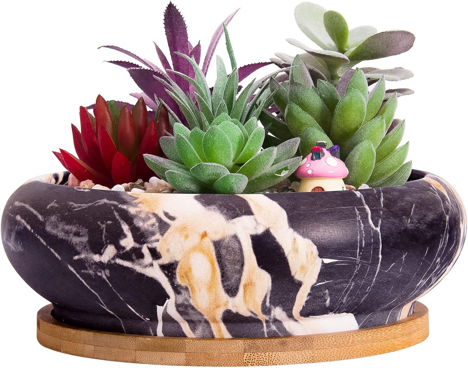 Succulent Pots, 7.3'' Large Bonsai Pots with Tray, Shallow Planters