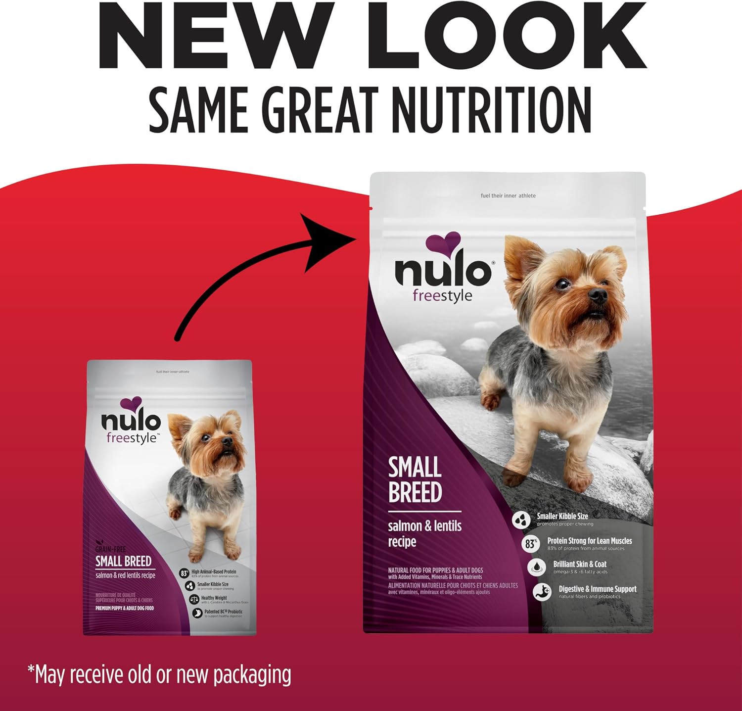 Nulo FreeStyle Small Breed Dog Food Dry - Salmon & Lentils, Puppy & Adult Grain Free Dog Food, Natural, High Protein
