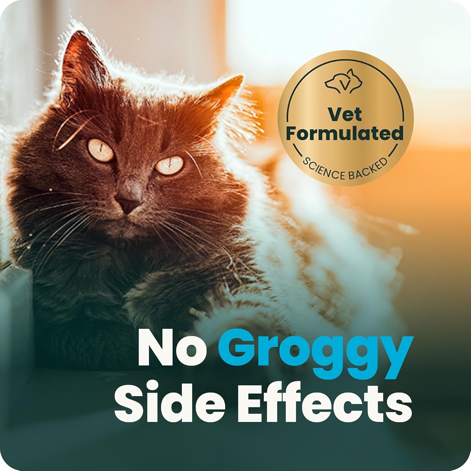 VetriScience Composure Calming Chews for Cats – Supports Relaxation & Balanced Behavior During Travel & Vet Visits, Daily Stress & Anxiety Support Supplement, Chicken Flavor, 30 Count