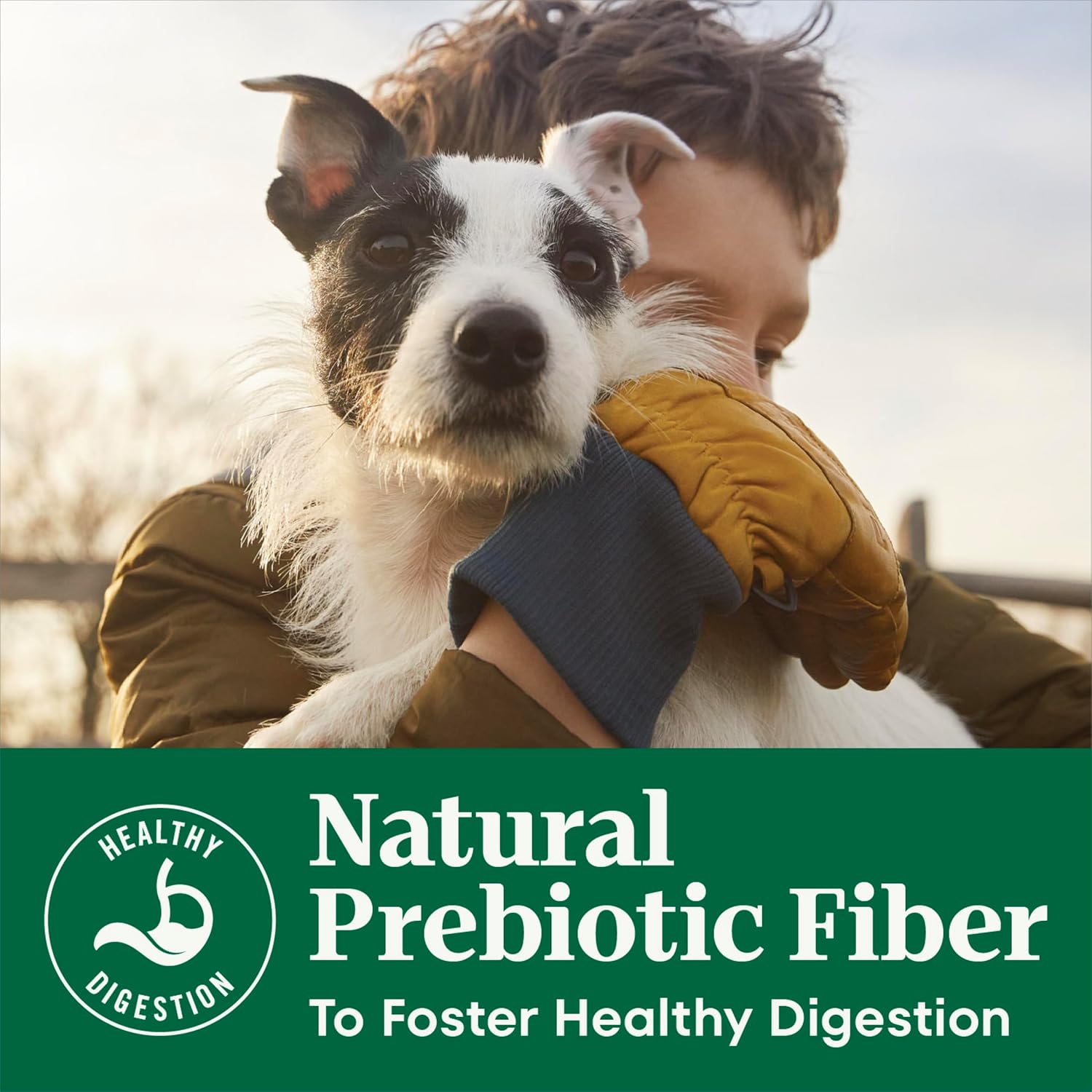 Nutro Natural Choice Senior Dry Dog Food, Chicken & Brown Rice, 30 lb | Non-GMO, Real chicken #1 ingredient, no corn, wheat, soy, supports bones, digestion & immunity, dental health & skin/coat