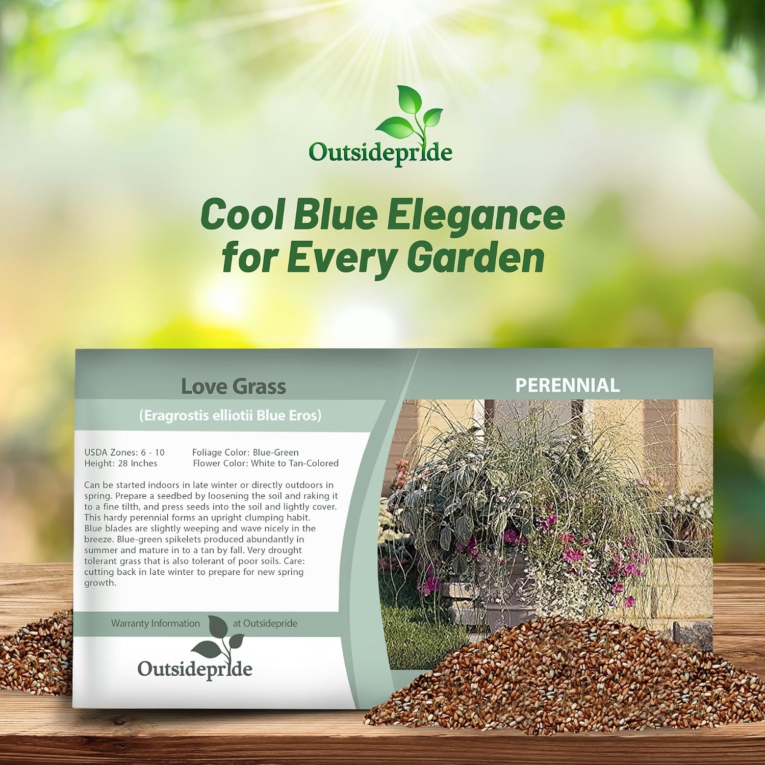 Outsidepride 500 Seeds Perennial Eragrostis Spectabilis Ornamental Love Grass Seed for Planting