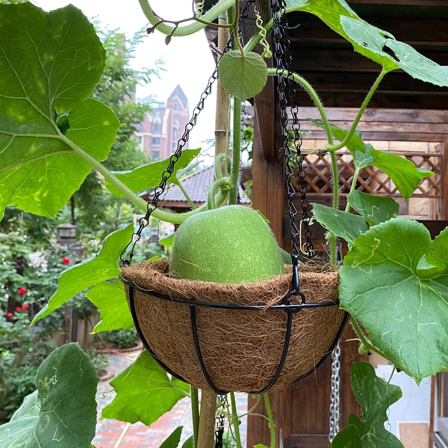 HALEDAZE 2 Pack 14 Inch Round Coco Liners for Hanging Basket