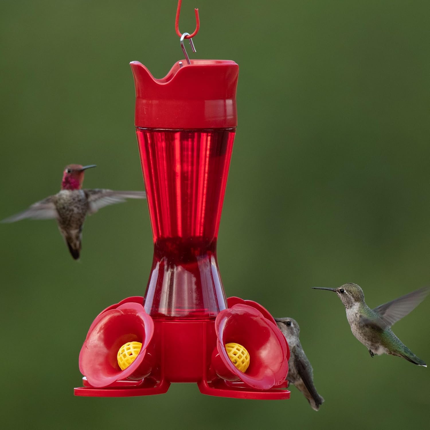 Perky-Pet Red Pinch-Waist Plastic Hummingbird Feeder, 8 oz Capacity | Built-in Bee Guards and Ant Moat for Outdoor Bird Feeding Station and Backyard Wildlife, Hummingbird Feeders for Outdoors