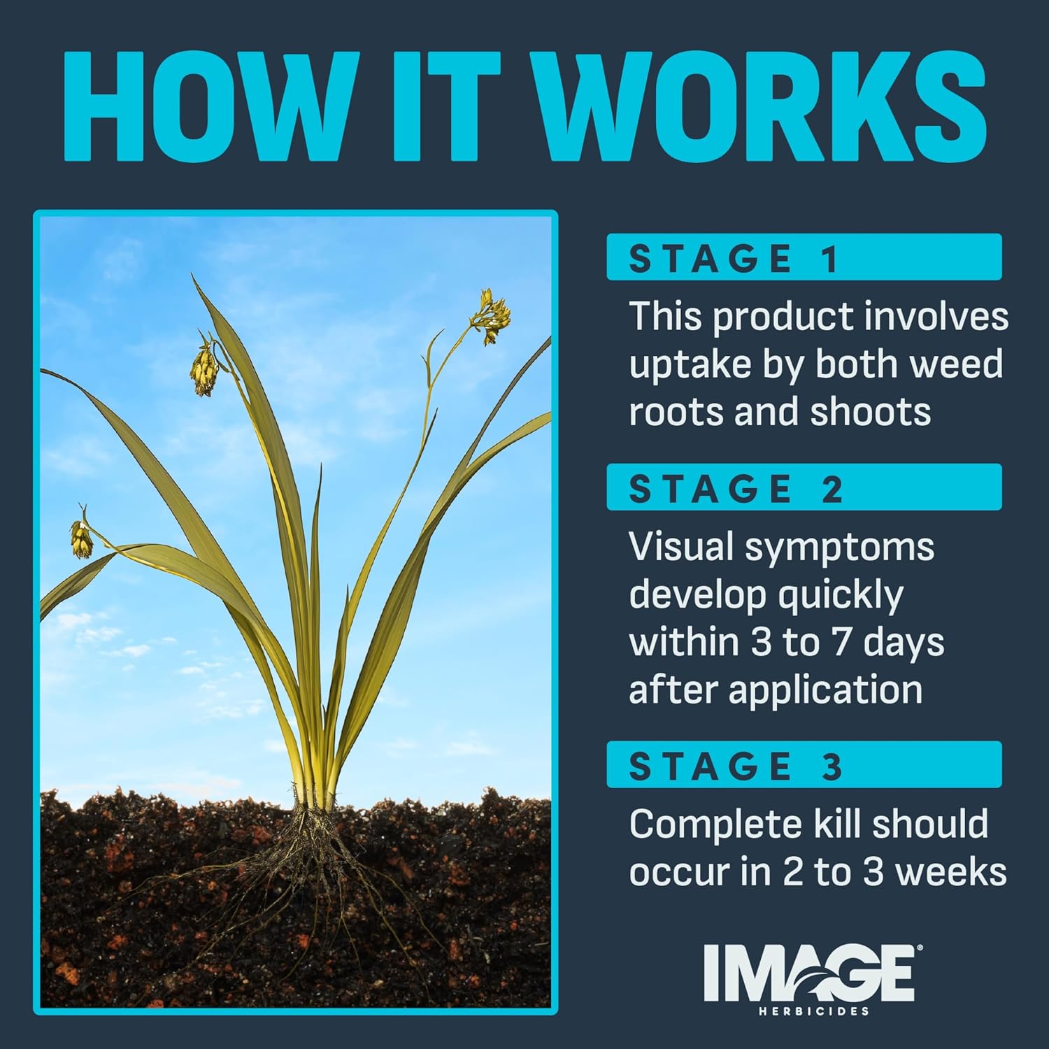 Image Herbicide Crabgrass, Nutsedge, & Weed Killer for Lawns 24 fl oz | Ready-to-spray weed spray, water based formula