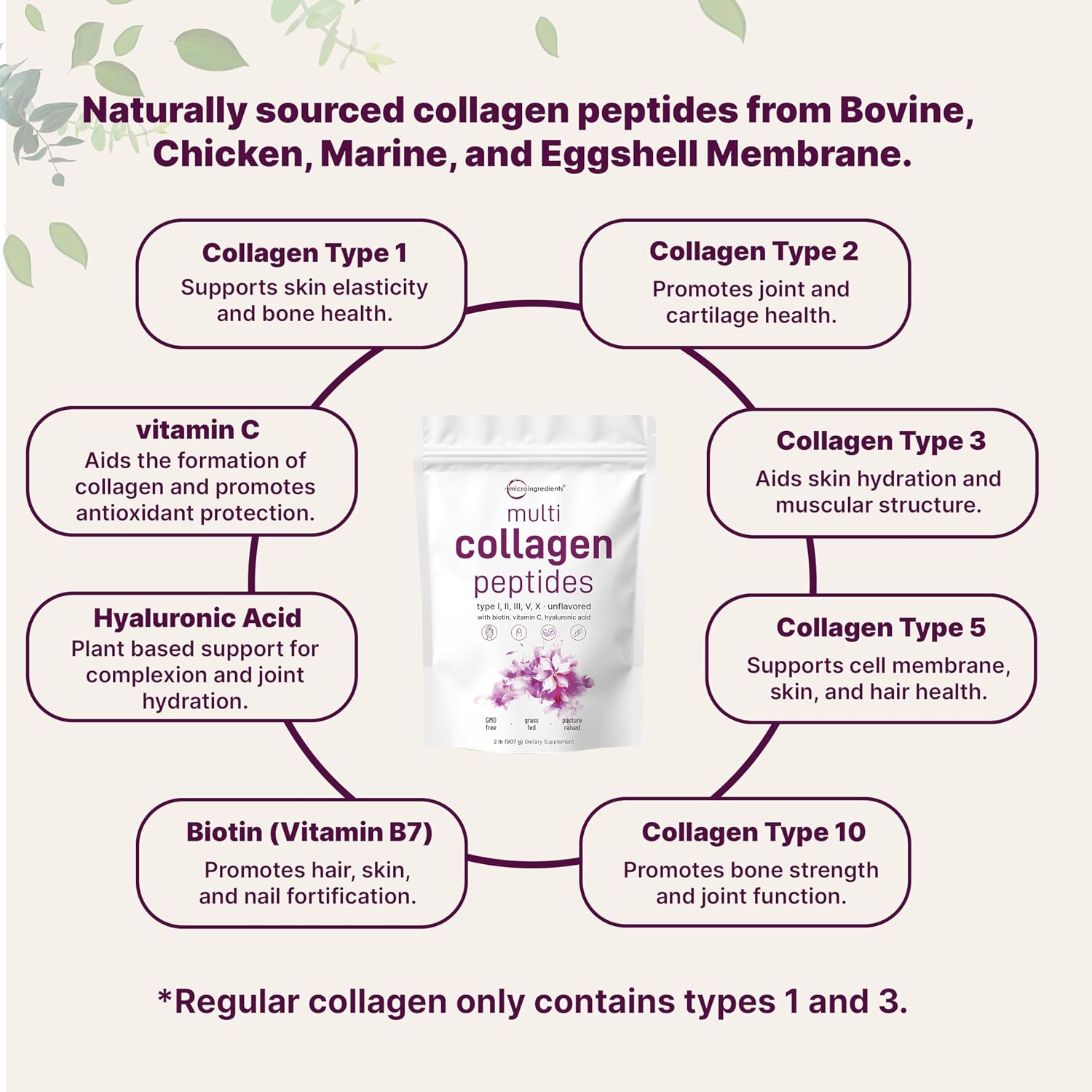 Micro Ingredients Multi Collagen Peptides Powder, 2lb (82 Servings) | Hydrolyzed Type I, II, III, V, X with Biotin, Hyaluronic Acid & Vitamin C. Unflavored Collagen for Women & Men, Easy Dissolve