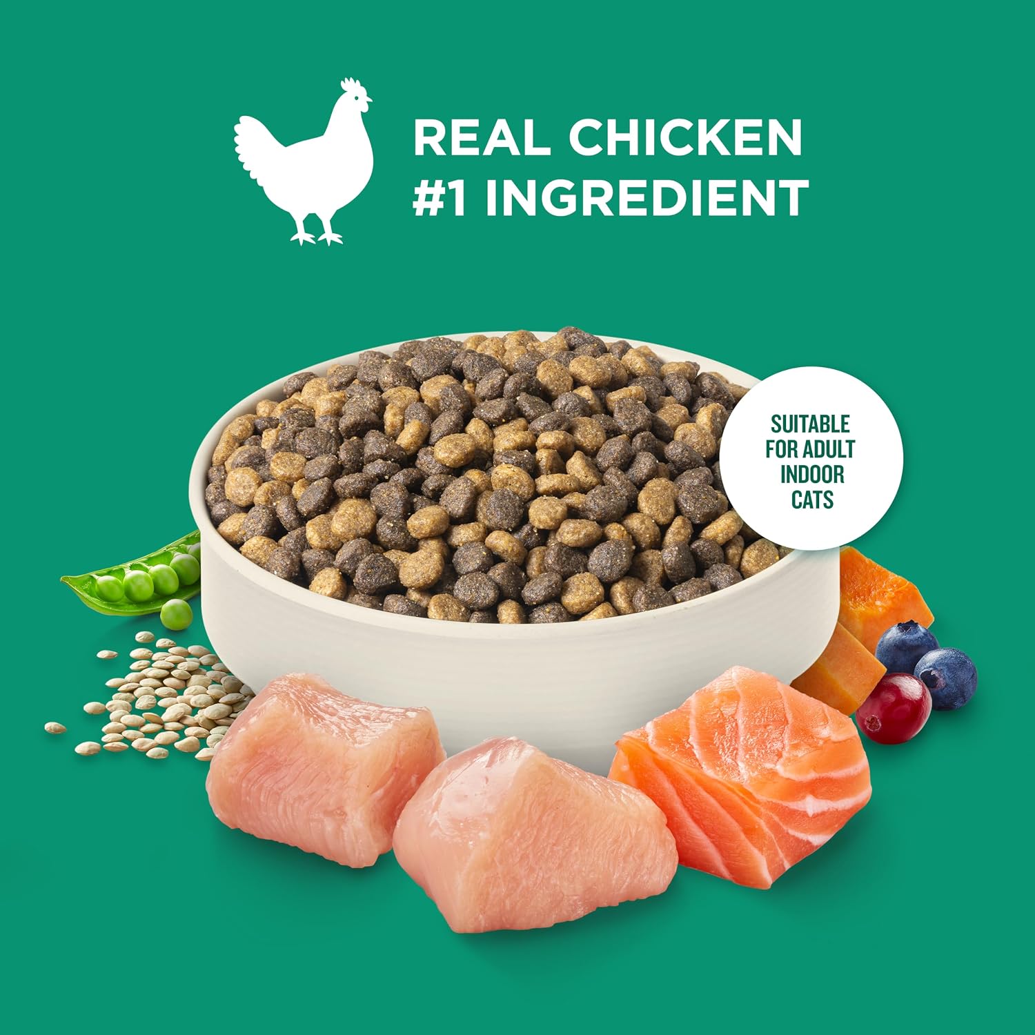 Nutrish Indoor Complete Dry Cat Food, 3 lb. Bag (Rachael Ray) | Chicken, Lentils & Salmon Recipe, Crafted for Adult Indoor Cats, Veterinarian Reviewed Formula