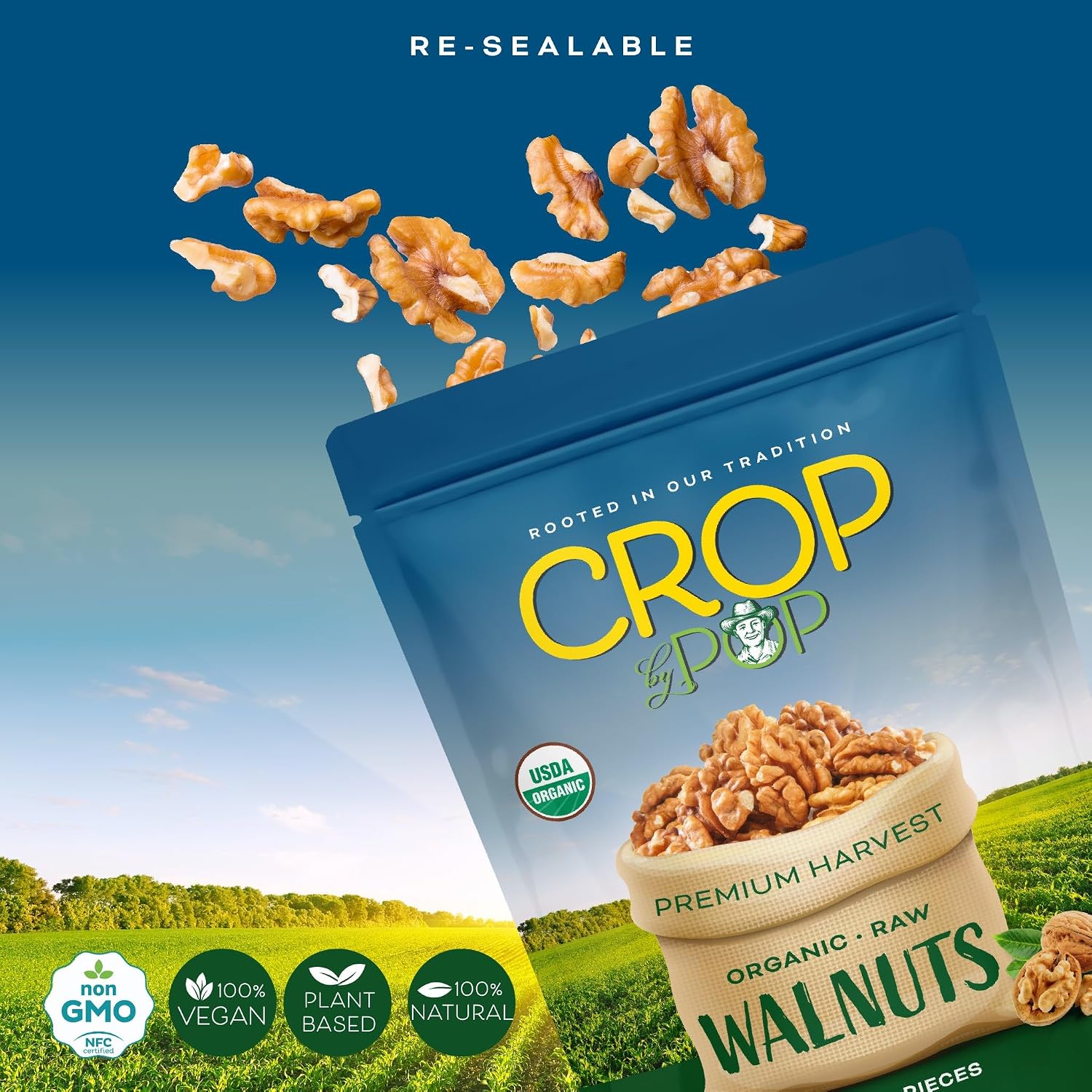 NUT CRAVINGS - Raw Walnuts In Shell, Whole, (80oz - 5 LB)