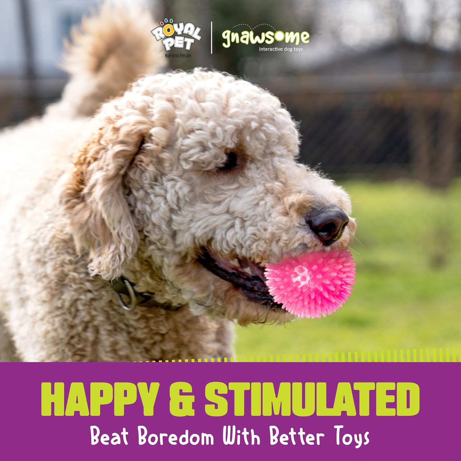 Gnawsome™ 3.5” Spiky Squeak & Light Ball Dog Toy - Medium, Cleans Teeth and Promotes Good Dental and Gum Health for Your Pet, Colors will vary