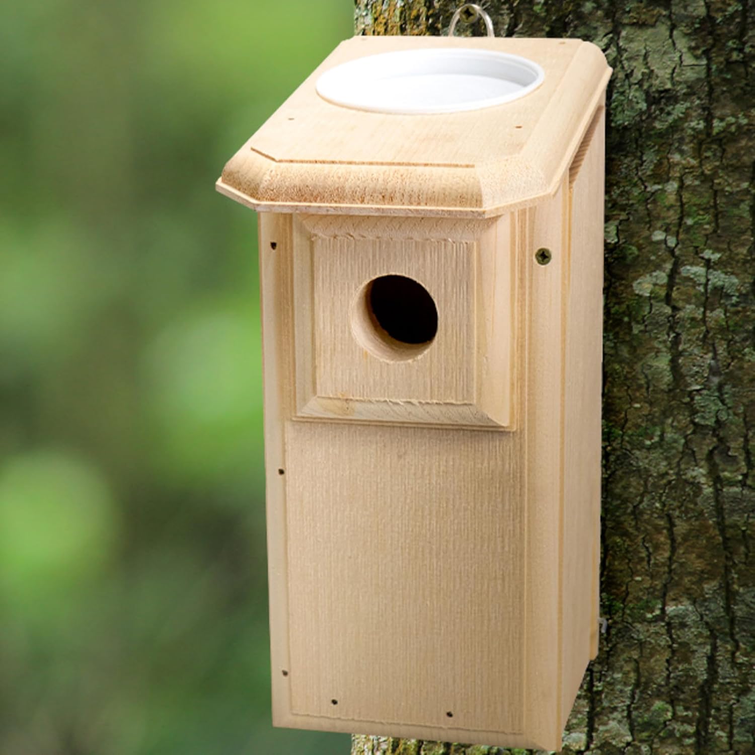 Bird Habitats Open-Top Bluebird House, Predator-Resistant Nest Box