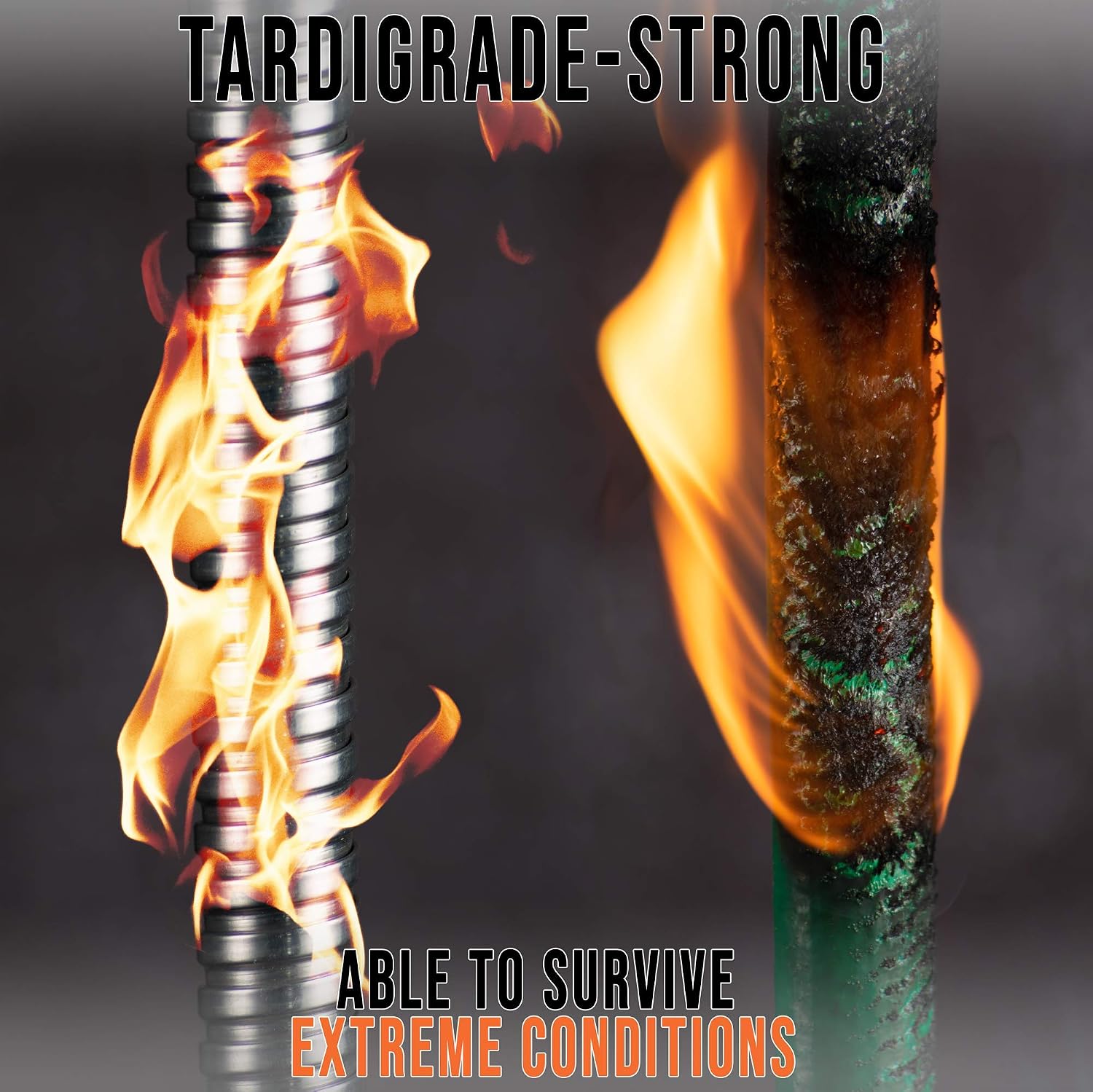 Tardigrade Metal Garden Hose 50 FT, Heavy Duty 304 Stainless Steel Water Hoses, Unmatched Durability, Flexible, No Kink & Tangle, Lightweight