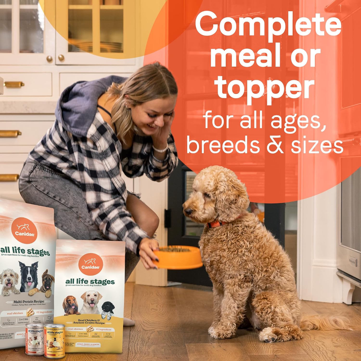 Canidae All Life Stages Premium Wet Dog Food for All Breeds, All Ages, Chicken & Rice Recipe, 13 oz. (Case of 12)