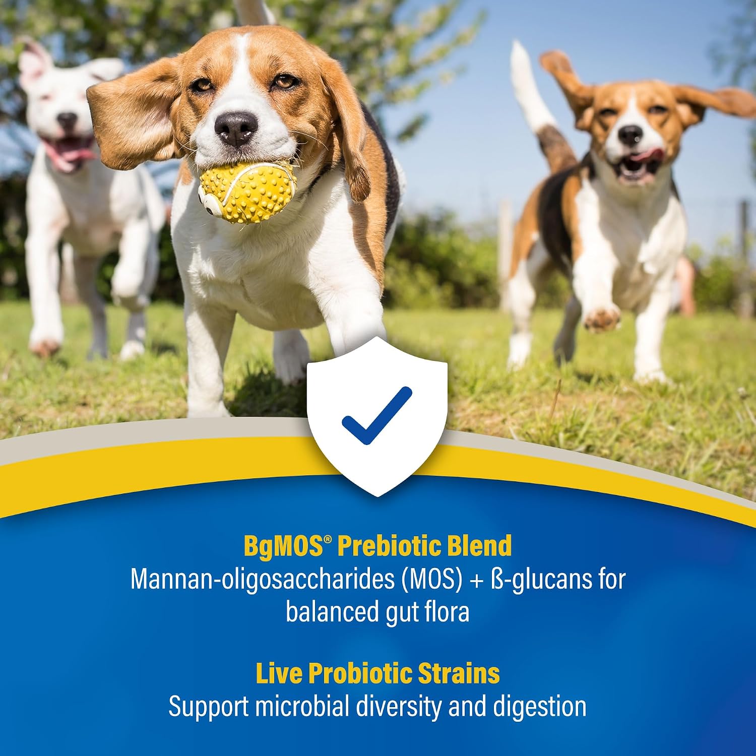 Doc Roys GI Synbiotics for Dogs and Cats, Prebiotic and Probiotic Granules, Digestive and Immune Support, Chicken Flavored, Made in USA, 454 gm