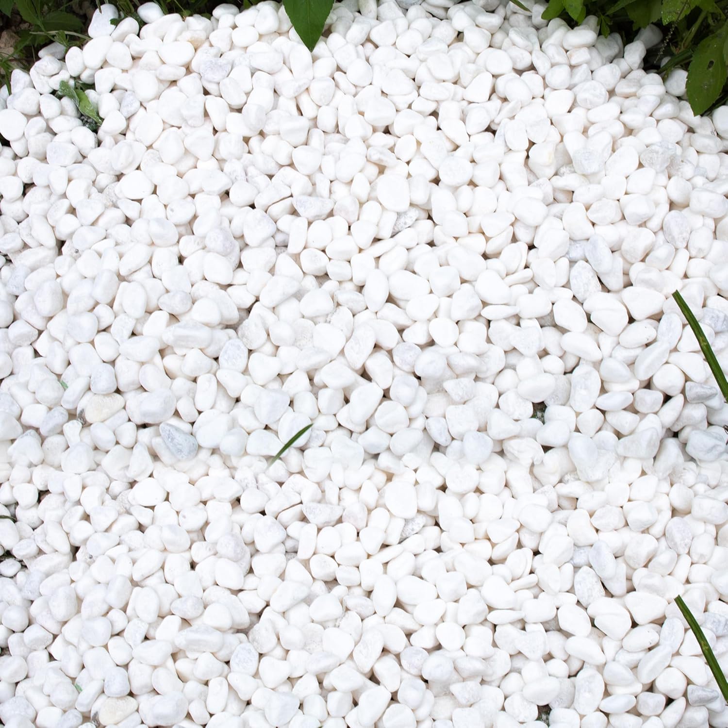 Pebbles for Plants 3 lb Natural Garden Decorative Stone Outdoor Aquariums Gravel 1-1.5 Inches