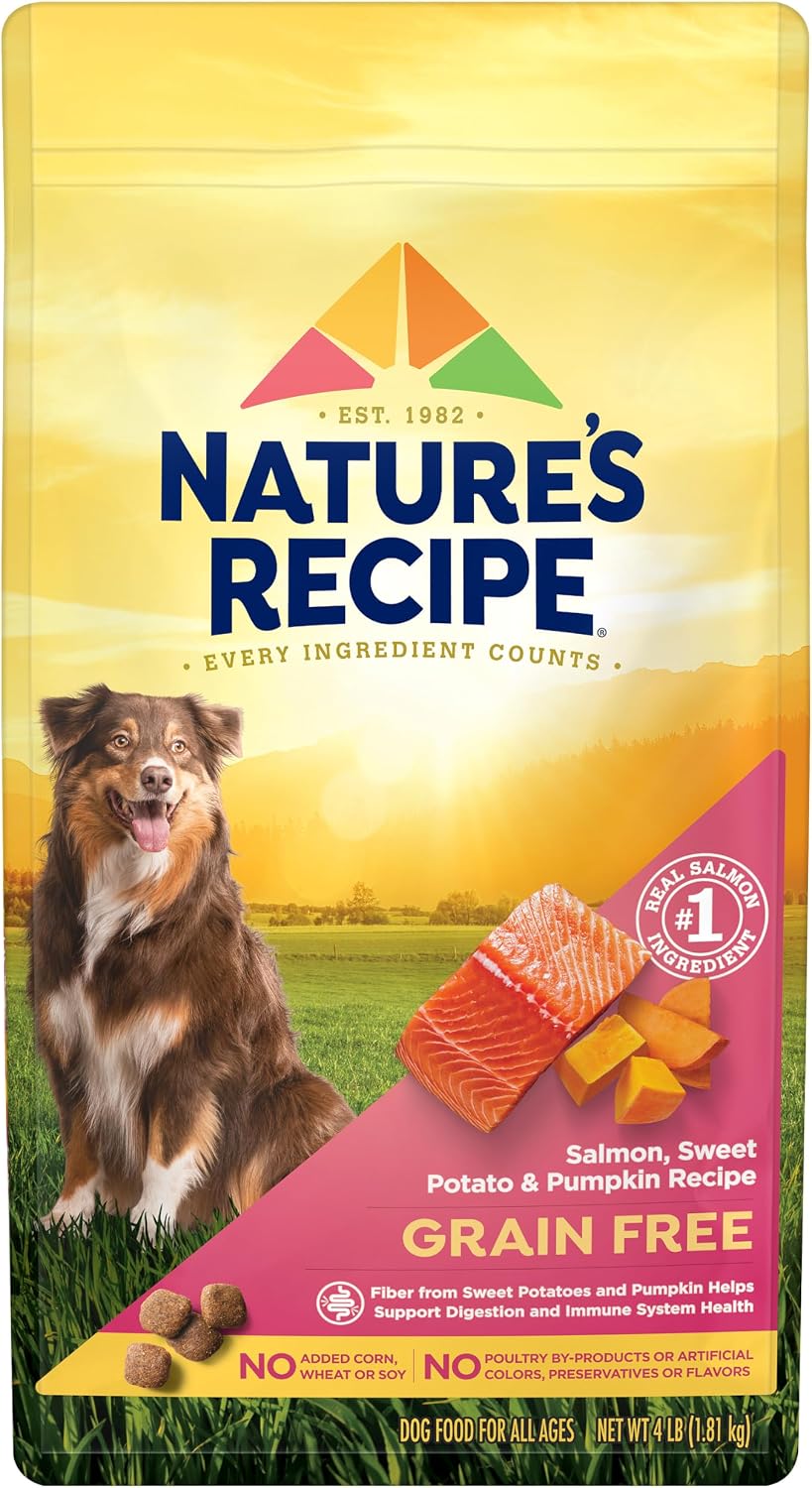 Nature's Recipe Grain Free Salmon Dry Dog Food, 24 lb. Bag | Fiber From Sweet Potatoes & Pumpkin Helps Support Digestion and Immune System Health
