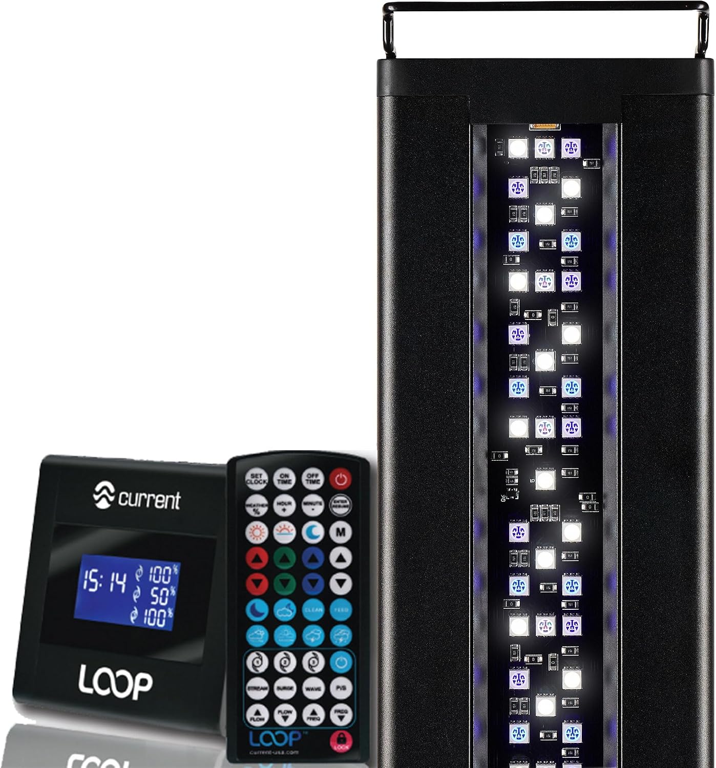 Current USA 24-36" Inch Orbit Marine LED Saltwater Reef Marine Aquarium Light | 24 Hour IR Lighting & eFlux Wave Pump Control | Adjustable Color Spectrum for Fish Tank (4101)