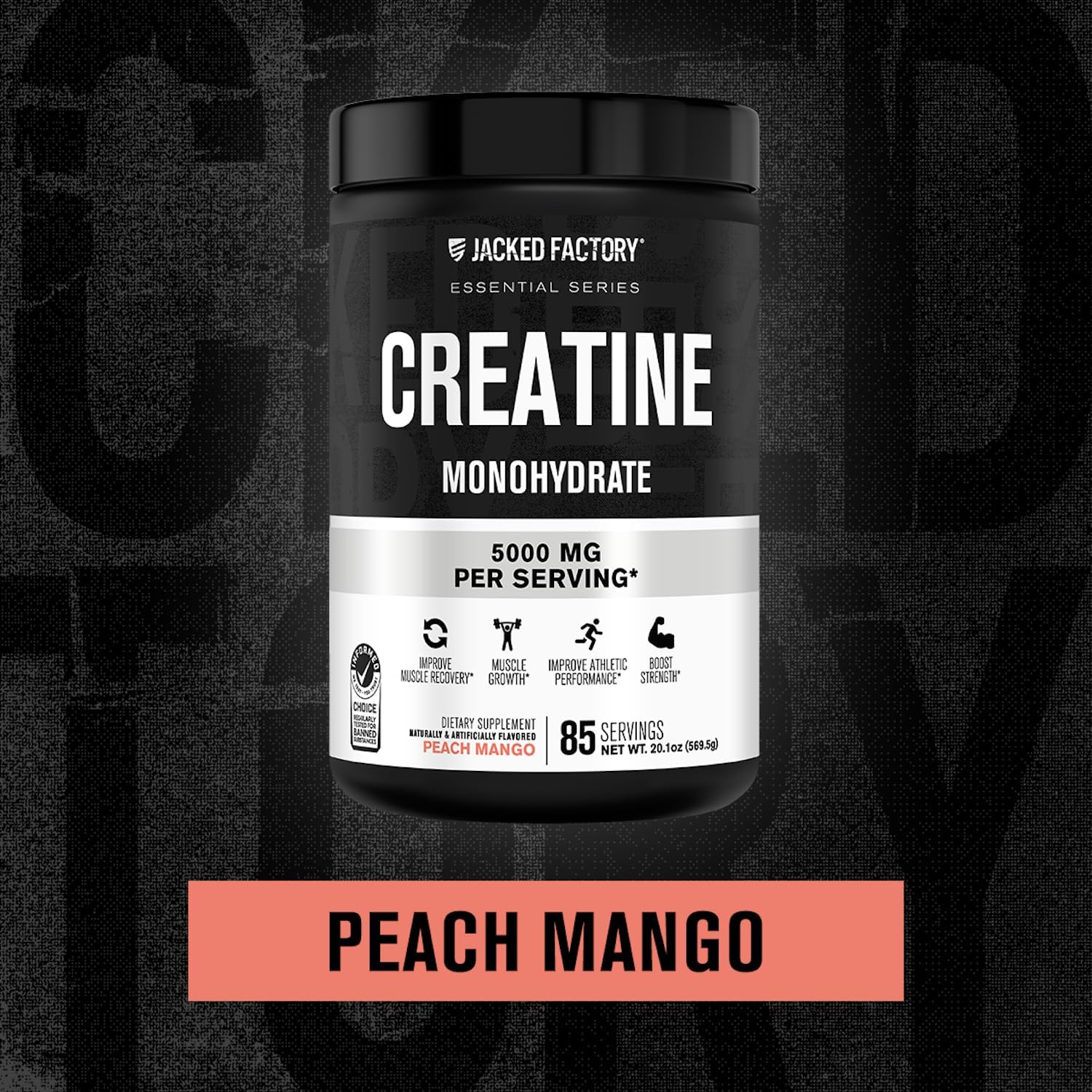 Jacked Factory Creatine Monohydrate Powder 425g - 5g Daily Micronized Creatine Monohydrate for Men and Women, Vegan-Friendly