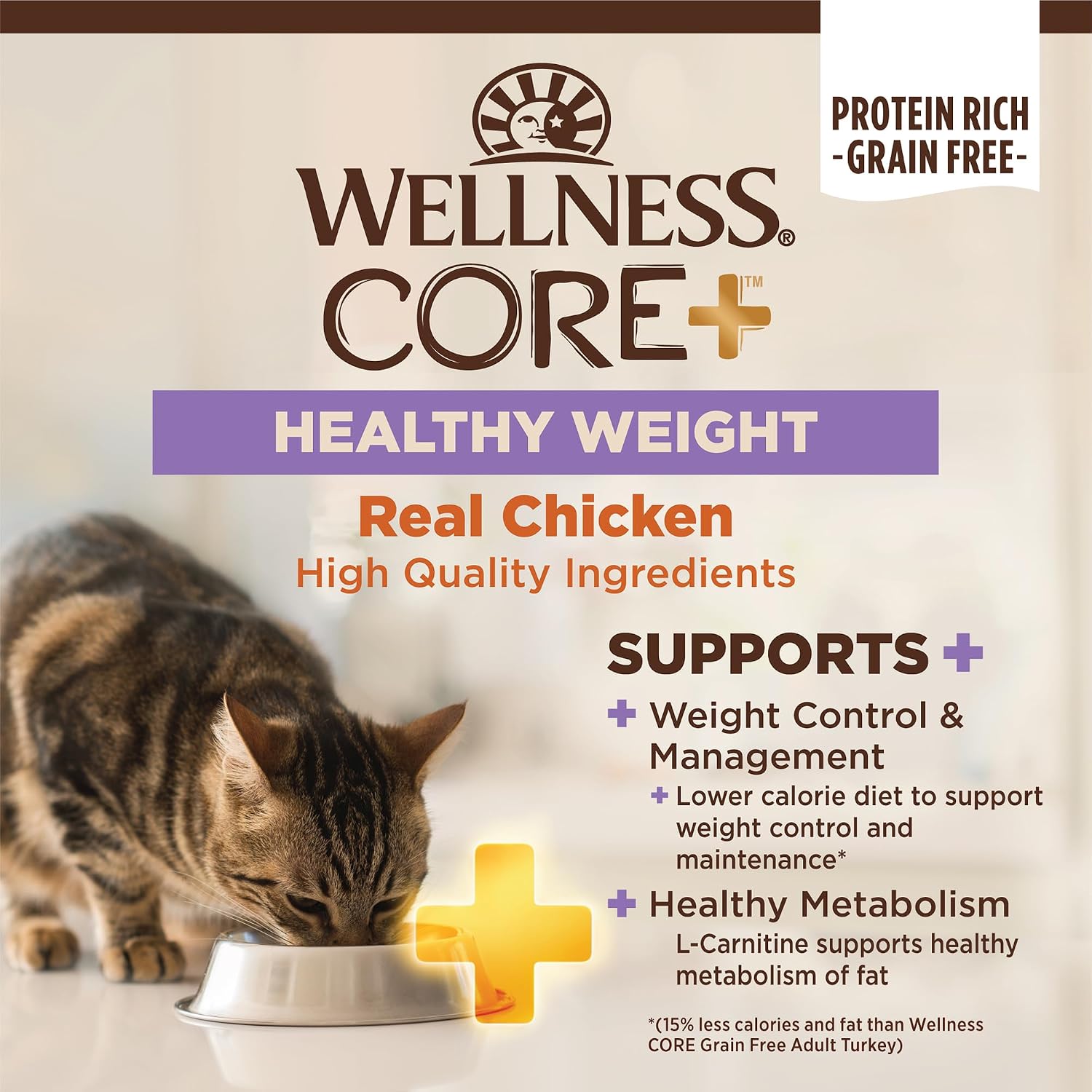 Wellness CORE+ Adult Dry Cat Food, Natural, Wholesome Grains Kibble, Digestive Health Chicken and Rice Recipe, 5 lb Bag