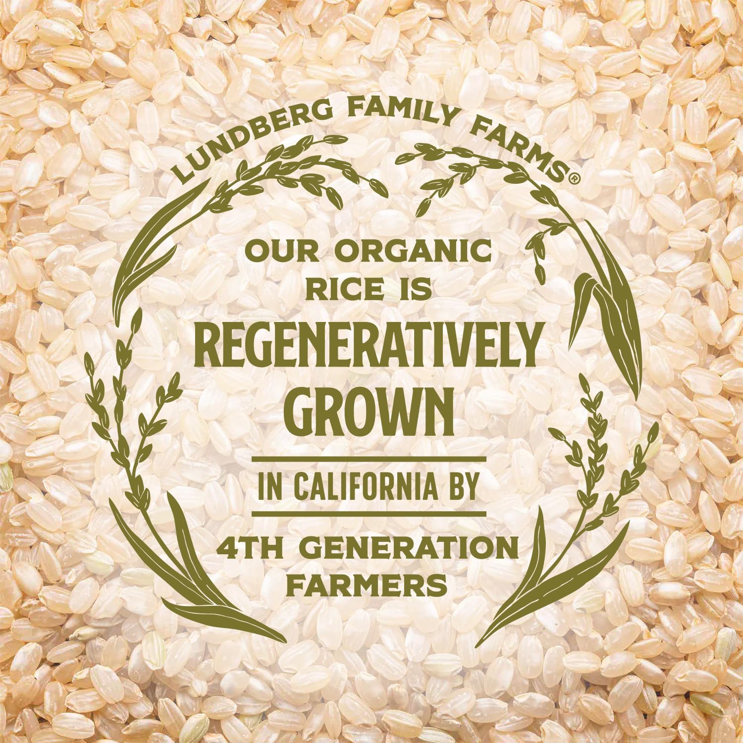 Lundberg Basmati Rice, Long Grain White Rice - Non-Sticky, Fluffy, Nutty, Aromatic Rice, Vegan Food, Healthy Meals, Gluten-Free, Grown in California, 64 Oz