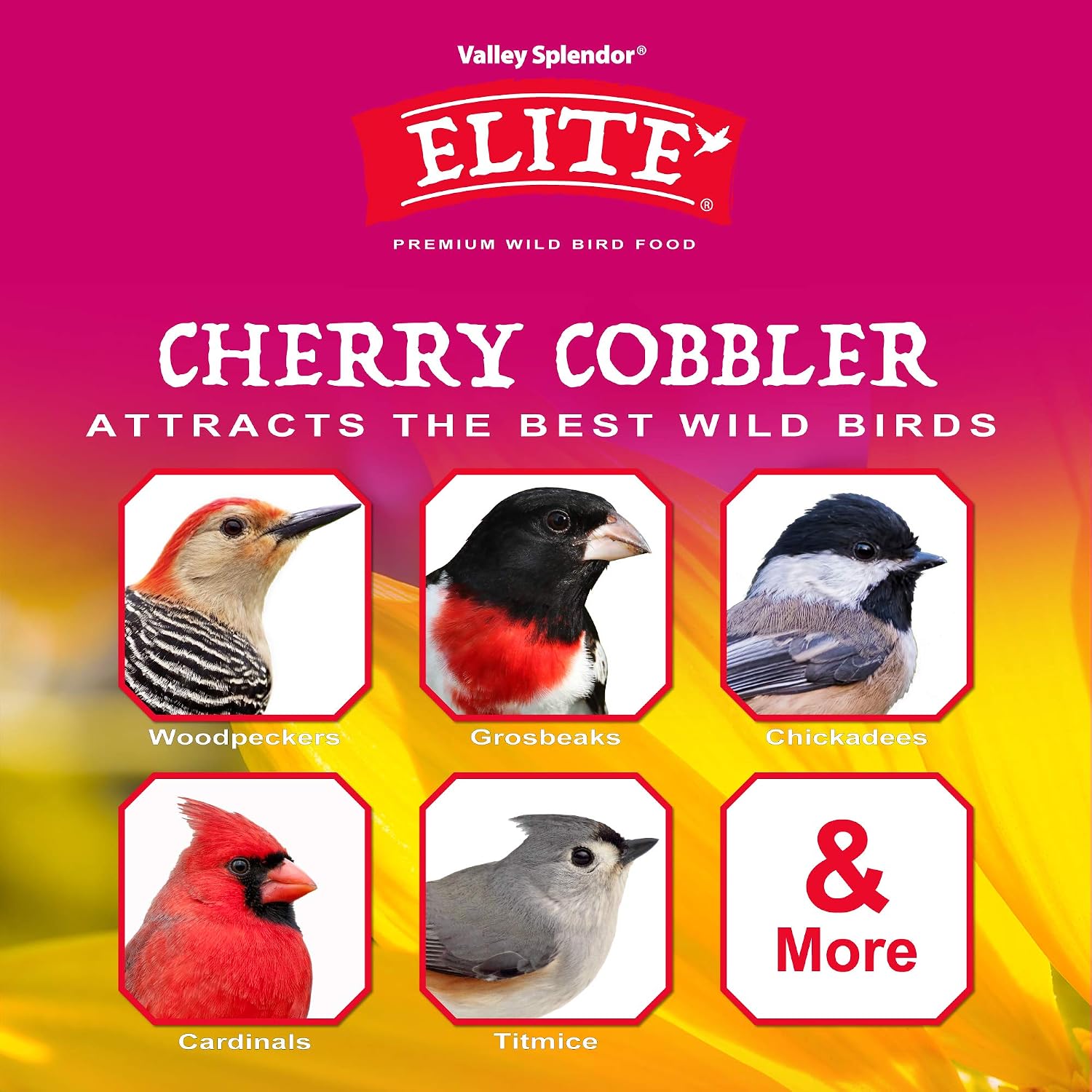 Cherry Cobbler
