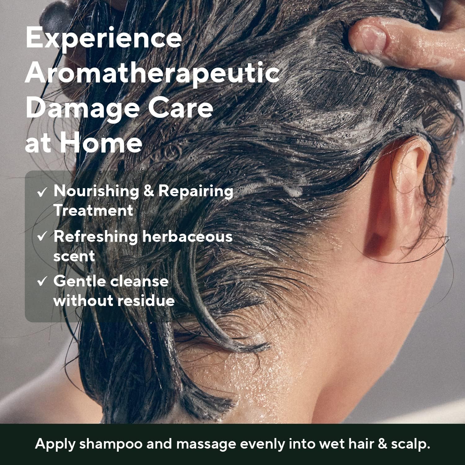 AROMATICA Rosemary Scalp Scaling Shampoo for Hair Growth | Korean Hair Care for Thinning Hair & Hair Loss, Natural Essential Oil, Vegan, Sulfate Silicone Paraben Free (13.53 oz)