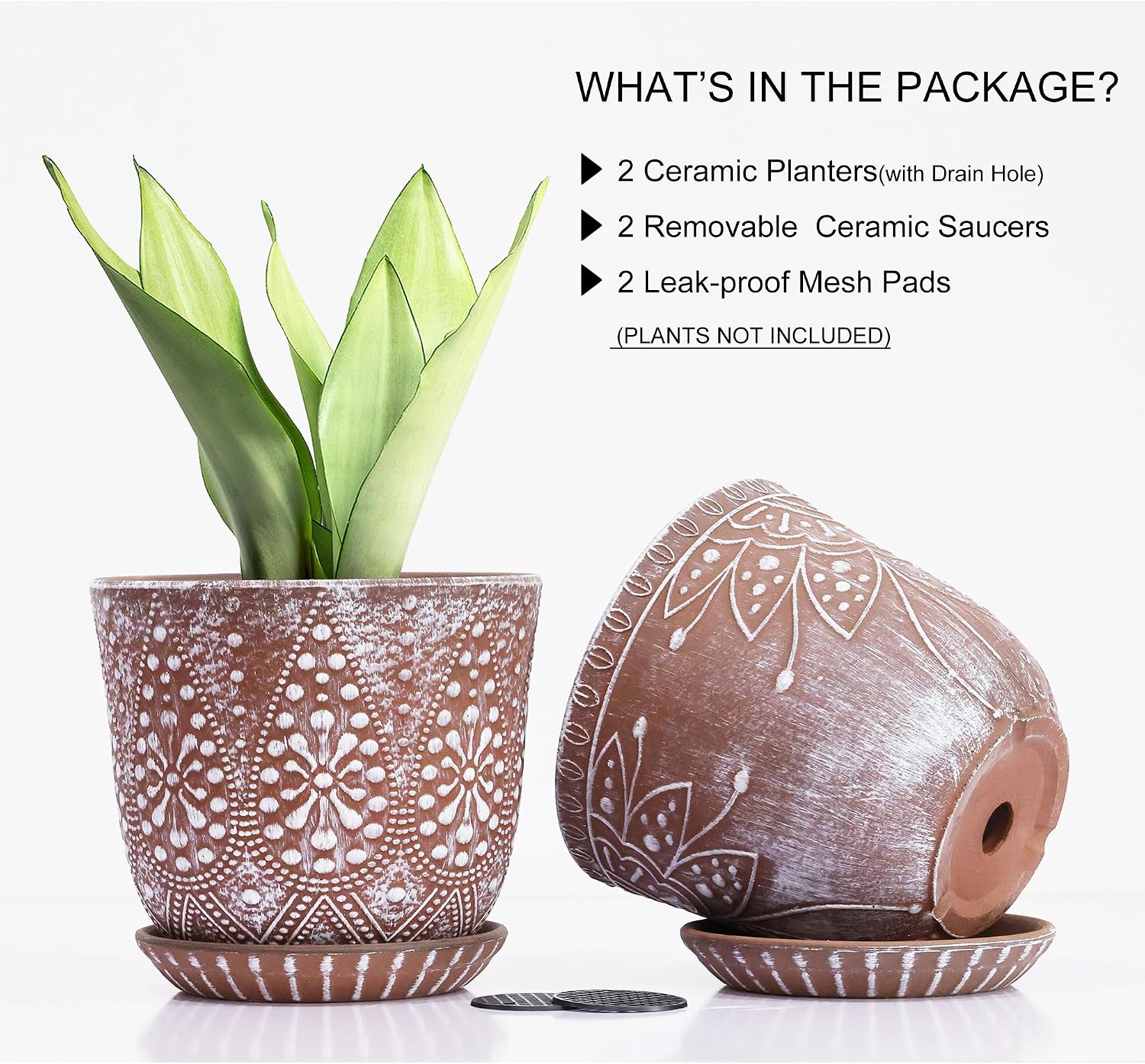 Gepege Ceramic Plant Pots, 6 Inch Indoor Planters with Drainage & Saucers