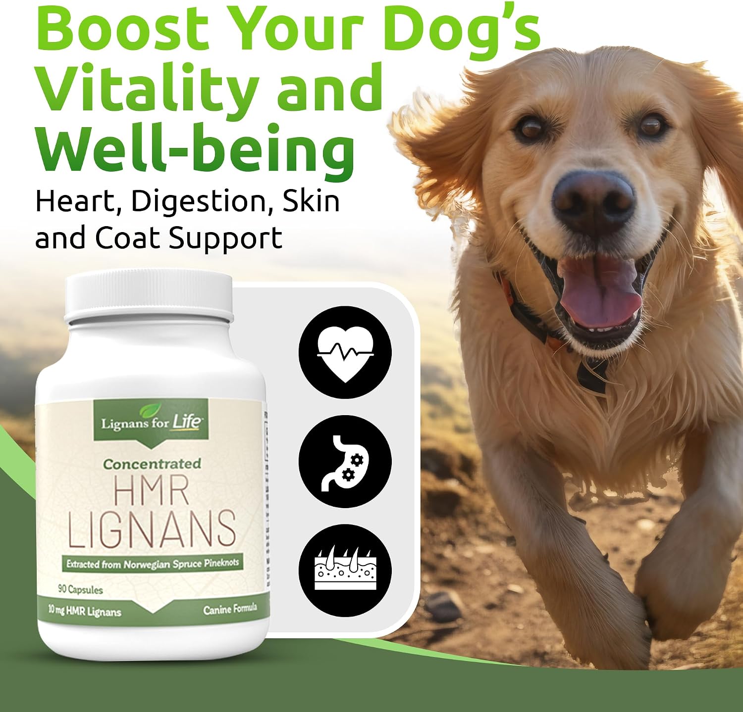 Lignans For Life HMR LIGNANS 10mg Capsules - Perfect for Small Dog Breeds - Vitamin for Healthy Pet | Multivitamin | Wellness Supplement | Nutritional
