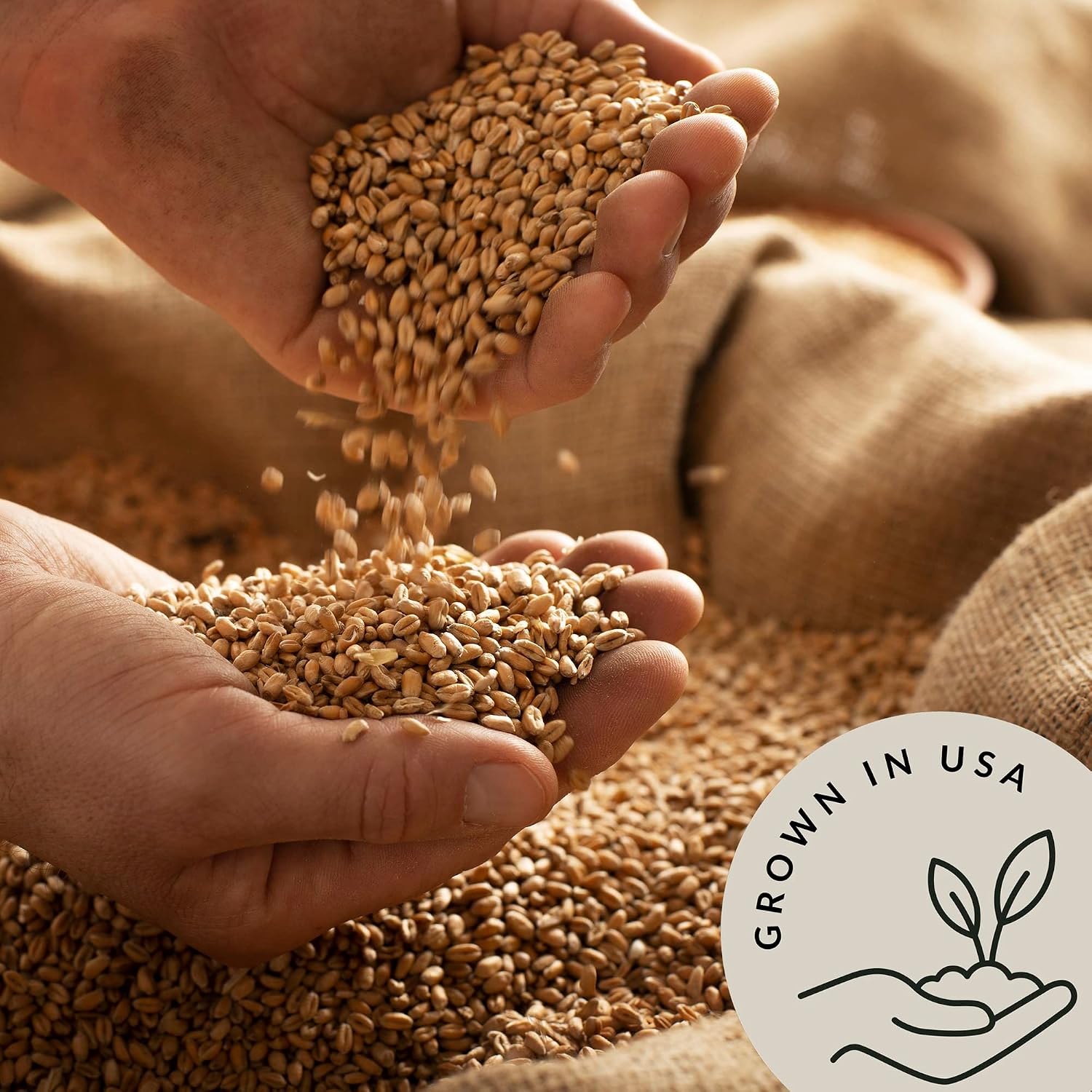 Organic Soft White Wheat Berries 5.8lb - Healthy Whole Grains Bulk | Ideal for Feeder Oats, Flour, Bread, Soup - High in Protein & Fiber - USA Grown | USDA Certified | Vegan | Non-GMO