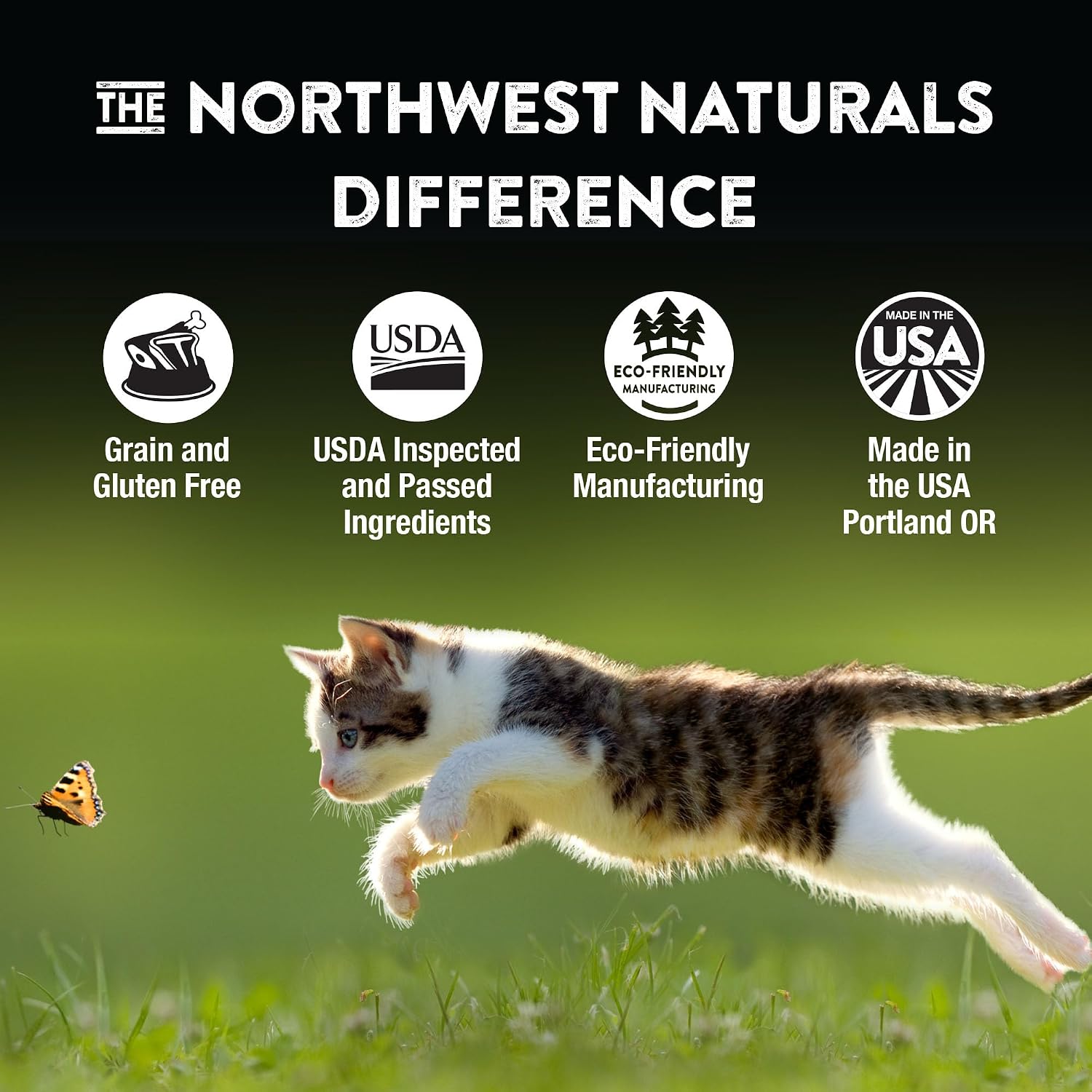 Northwest Naturals Freeze-Dried Turkey Cat & Kitten Food – Bite-Sized Nibbles – Healthy, Limited, Human-Grade Ingredients, All-Natural, High-Protein Raw Diet – Complete & Balanced, Made in USA, 11 oz