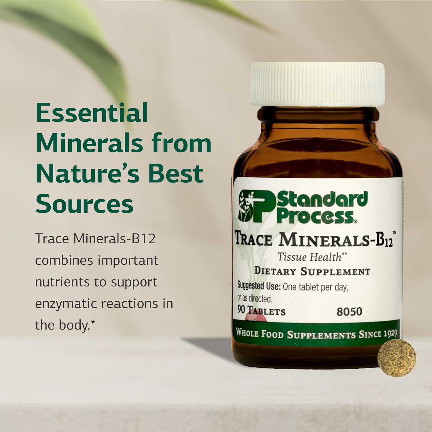 Standard Process Trace Minerals-B12 - Thyroid & Cell Functioning Support with Iodine