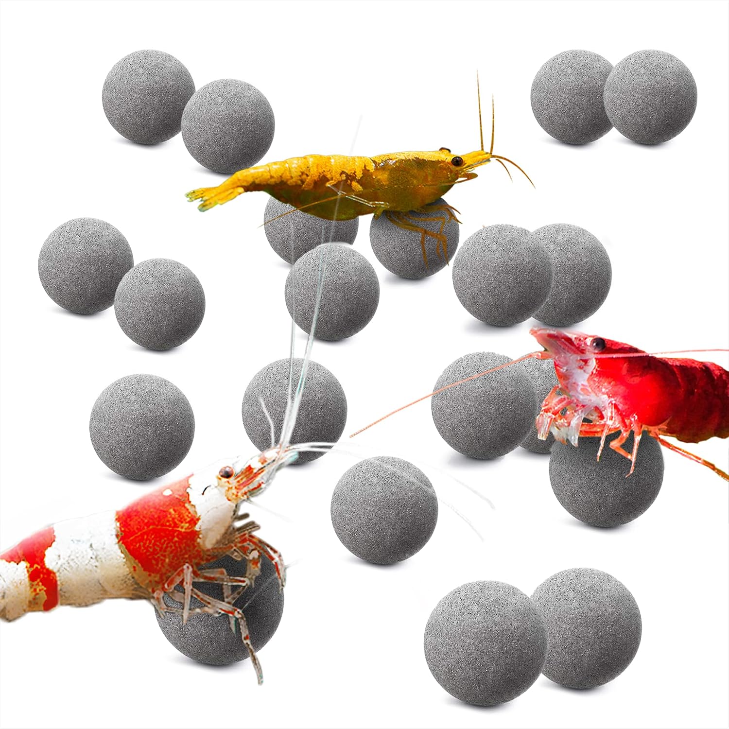 SunGrow Shrimp Balls, Aquarium Water Conditioner Balls, Successful Shedding, Increase Survival Rate, Impart Vibrance, Cool Décor with Wellness Benefits