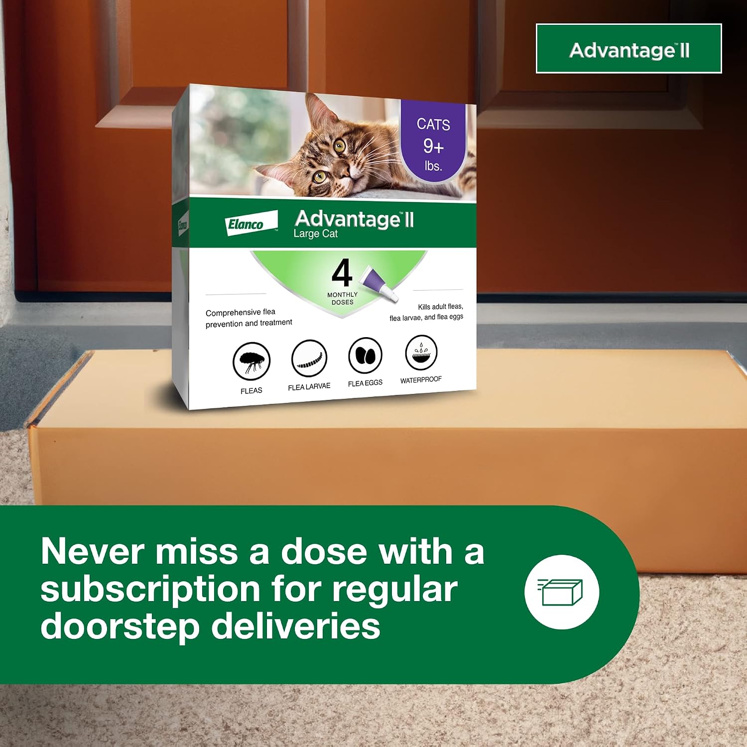 Advantage II Large Cat Vet-Recommended Flea Treatment & Prevention | Cats Over 9 lbs. | 4-Month Supply