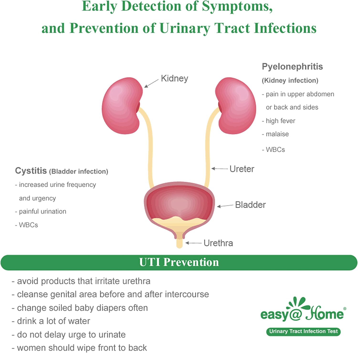 Easy@Home Urinary Tract Infection Test Strips 50 Individual Pack, Urine Test Strips for UTI Infections, Urinalysis Kit