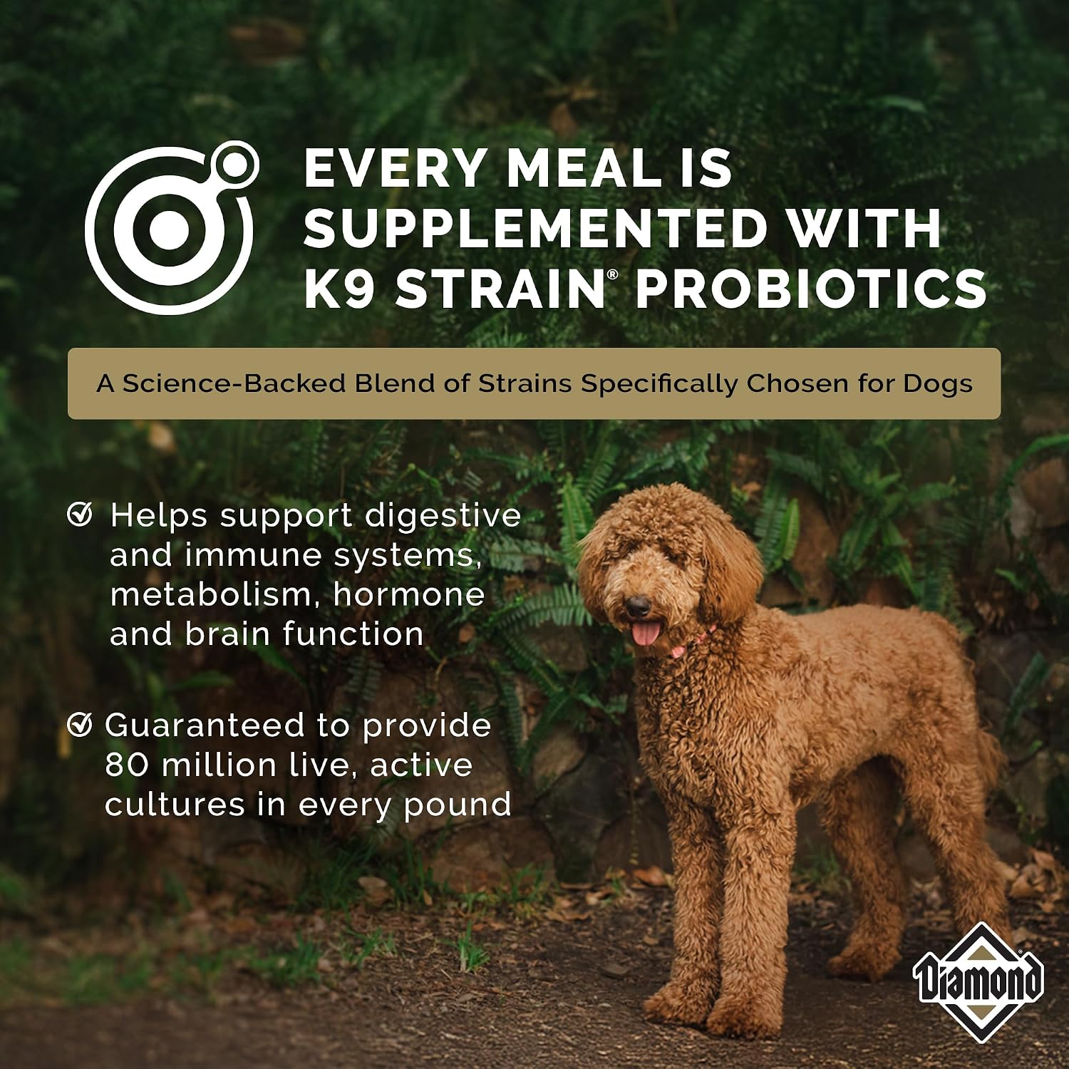 Diamond Maintenance Adult Dry Dog Food, Chicken Protein, 40lb | For Moderately Active Dogs | Omega Fatty Acids Help Support Healthy Skin & Shiny Coat | Guaranteed Probiotics