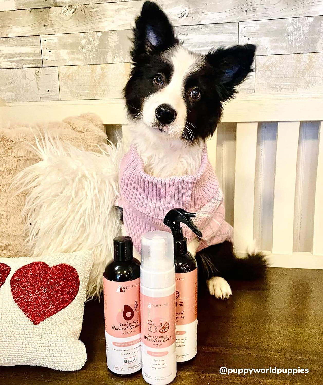 kin+kind Dry Skin + Coat Natural Dog Shampoo - for Dry Skin & Coat - Argan Oil Moisturizing Clean - Cedarwood Fragrance - 12 fl oz