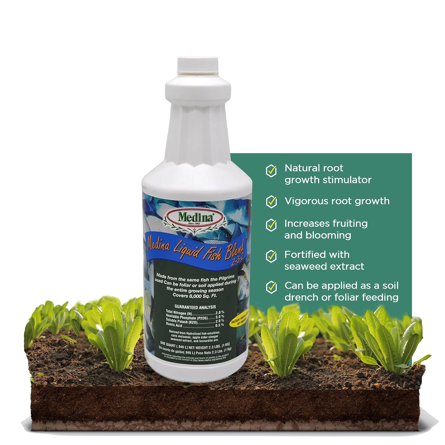 Medina Liquid Fish Blend Fertilizer 2-3-2, 1 Gallon | Gro, Bloom, and Lush Gardens, Seaweed Enriched Plant Food, Vibrant Growth and Blooms, Available