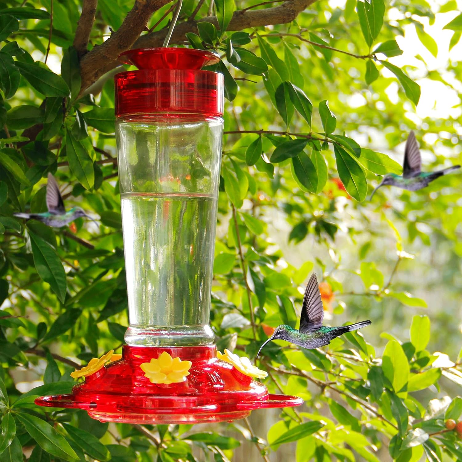 Shrdaepe Hummingbird Feeder, Glass Bottle Bird Feeders, 5 Feeding Ports, 10-Ounce Nectar Capacity